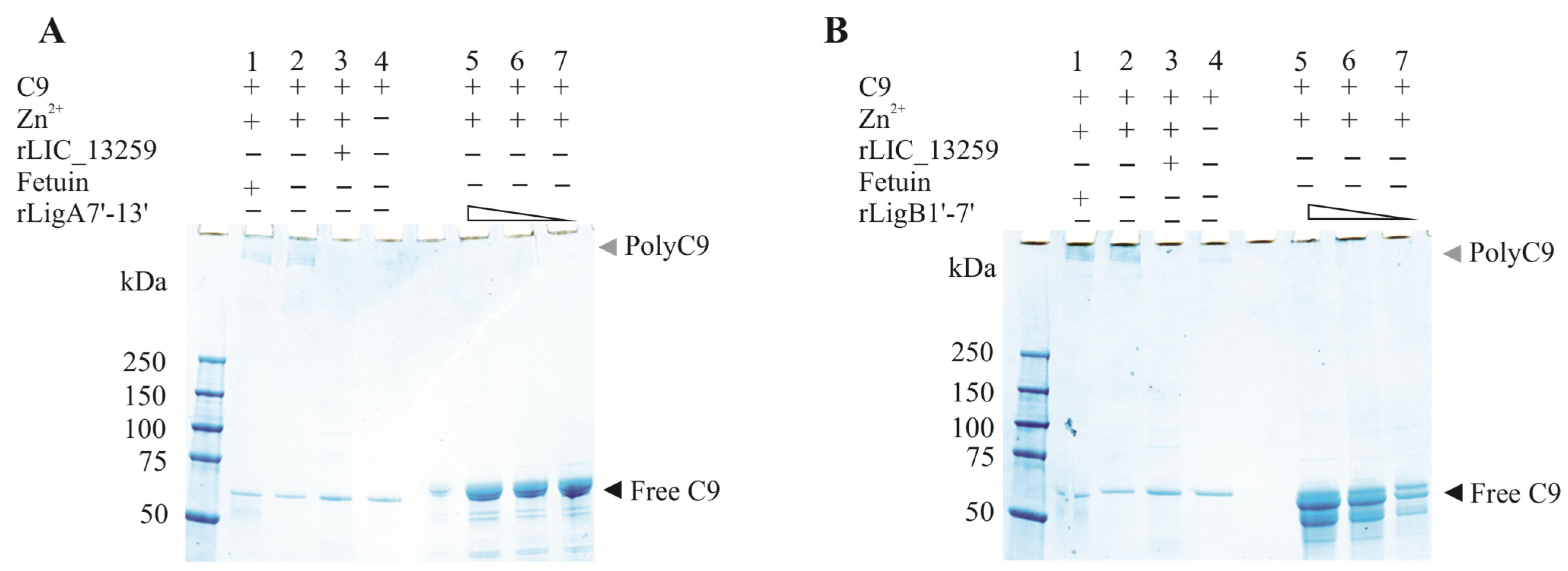 Microorganisms 13 01293 g009