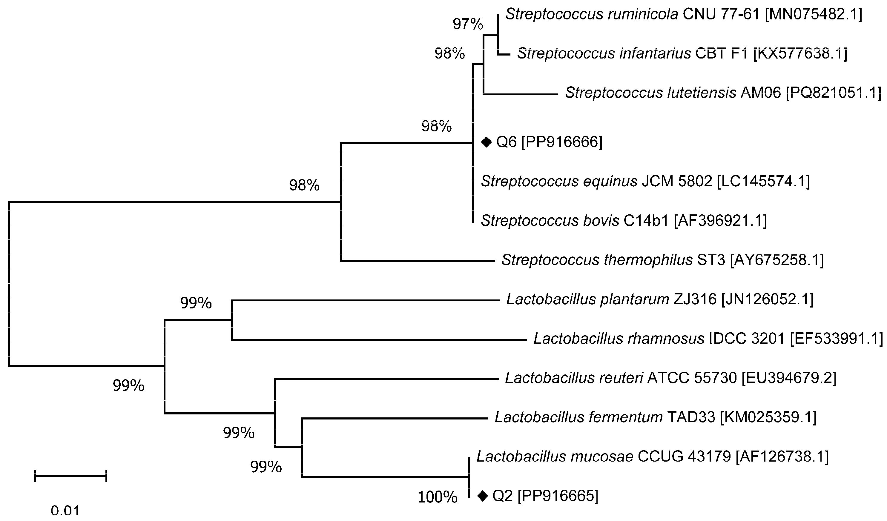 Microorganisms 13 01295 g002