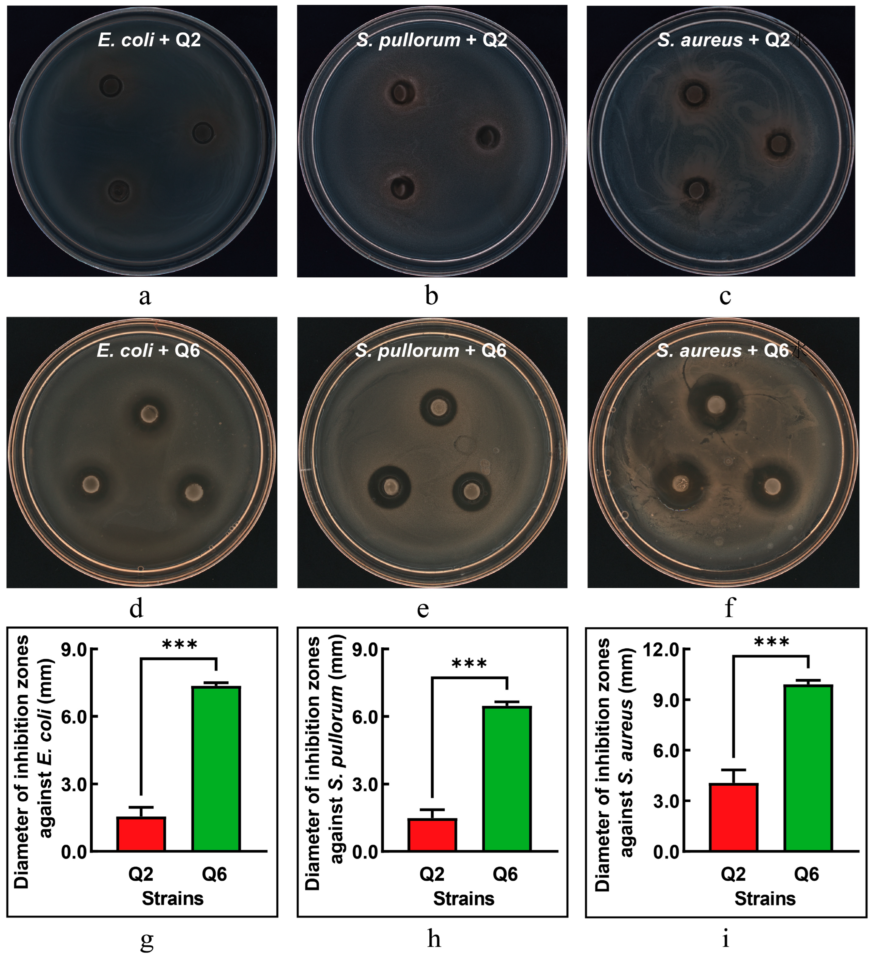 Microorganisms 13 01295 g004