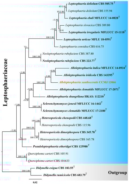Microorganisms 13 01296 g001