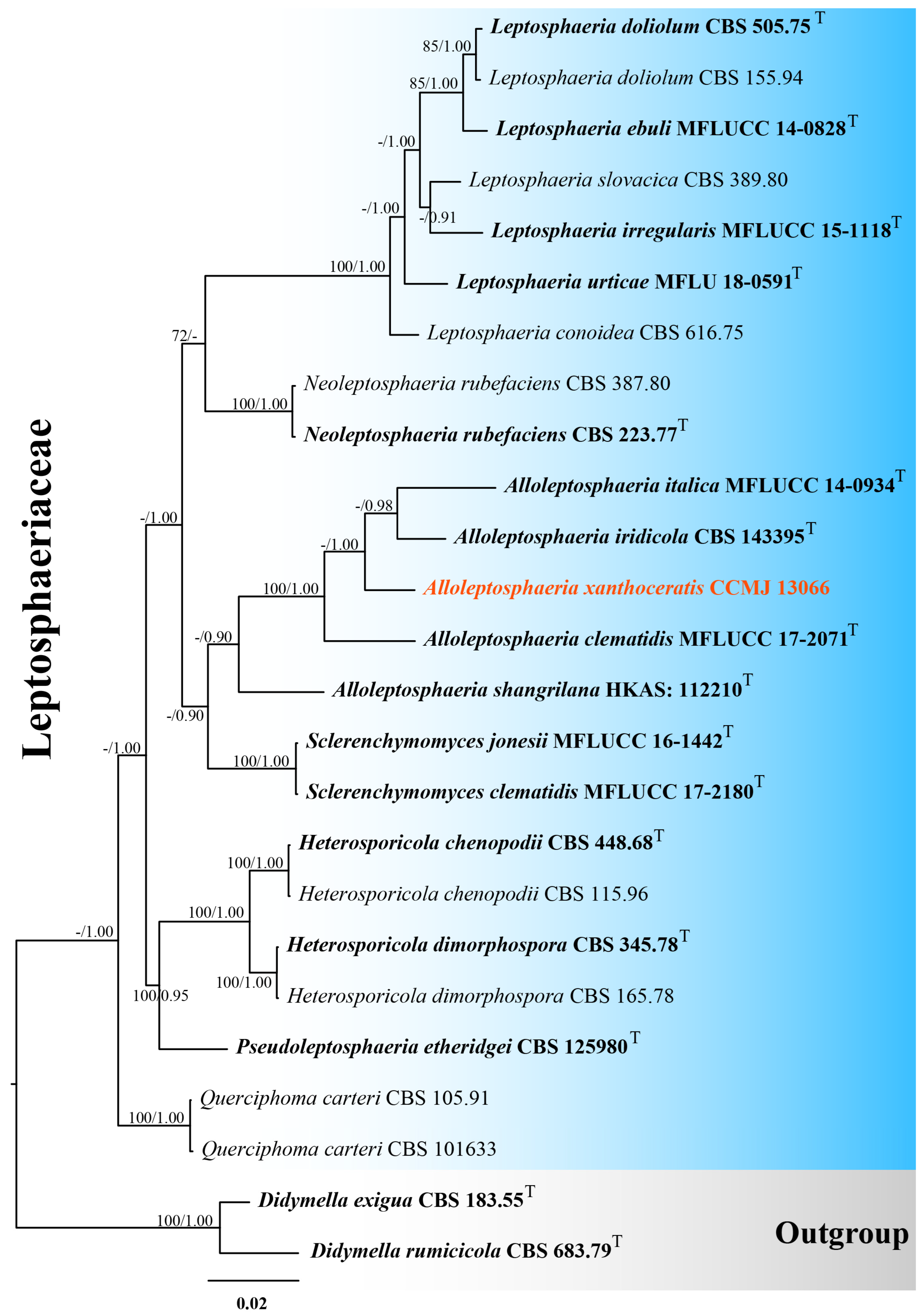 Microorganisms 13 01296 g001
