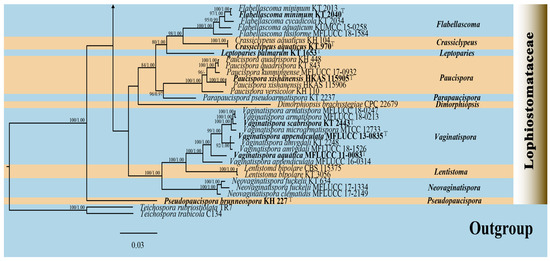 Microorganisms 13 01296 g002b