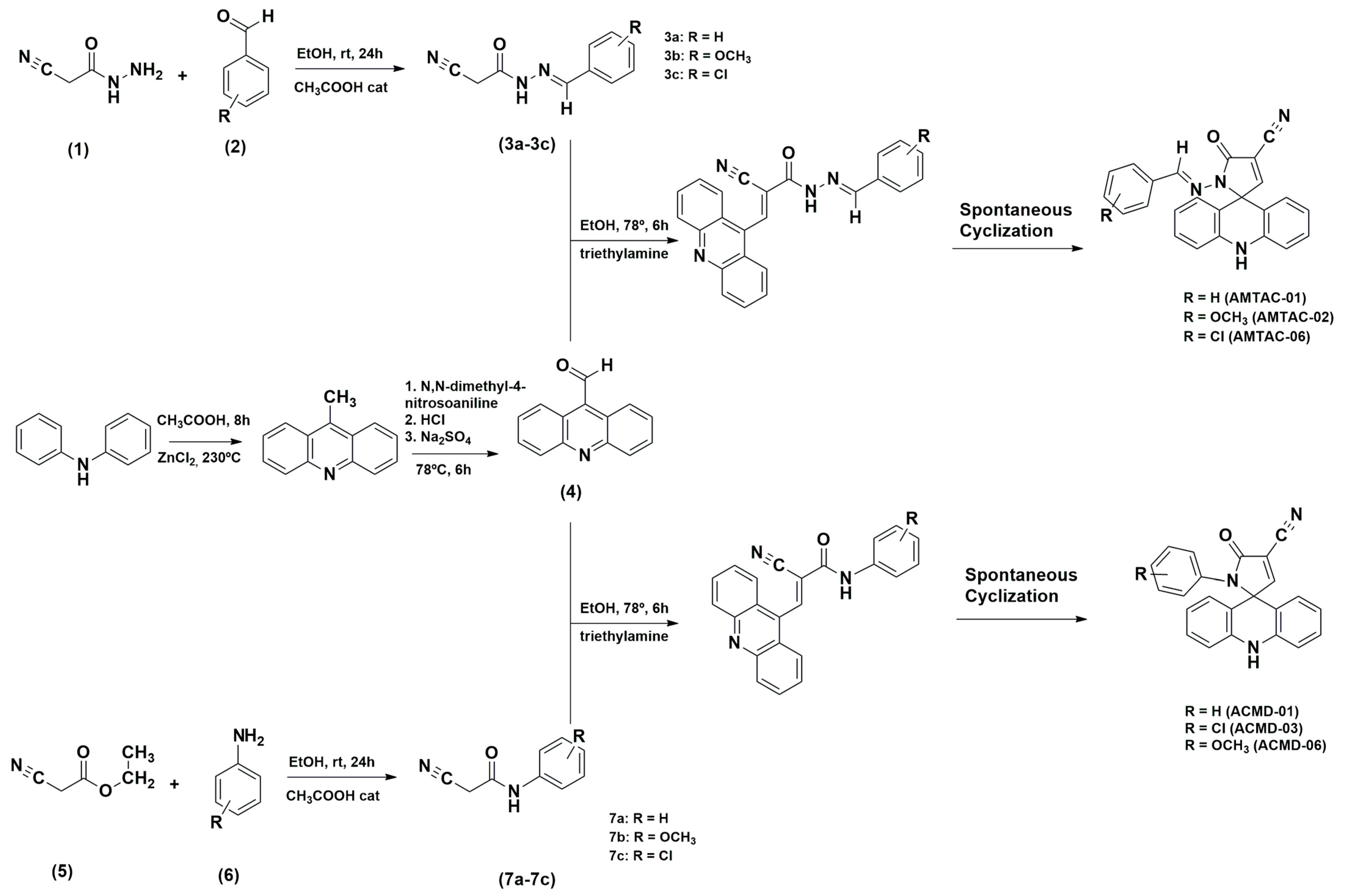 Microorganisms 13 01297 sch001