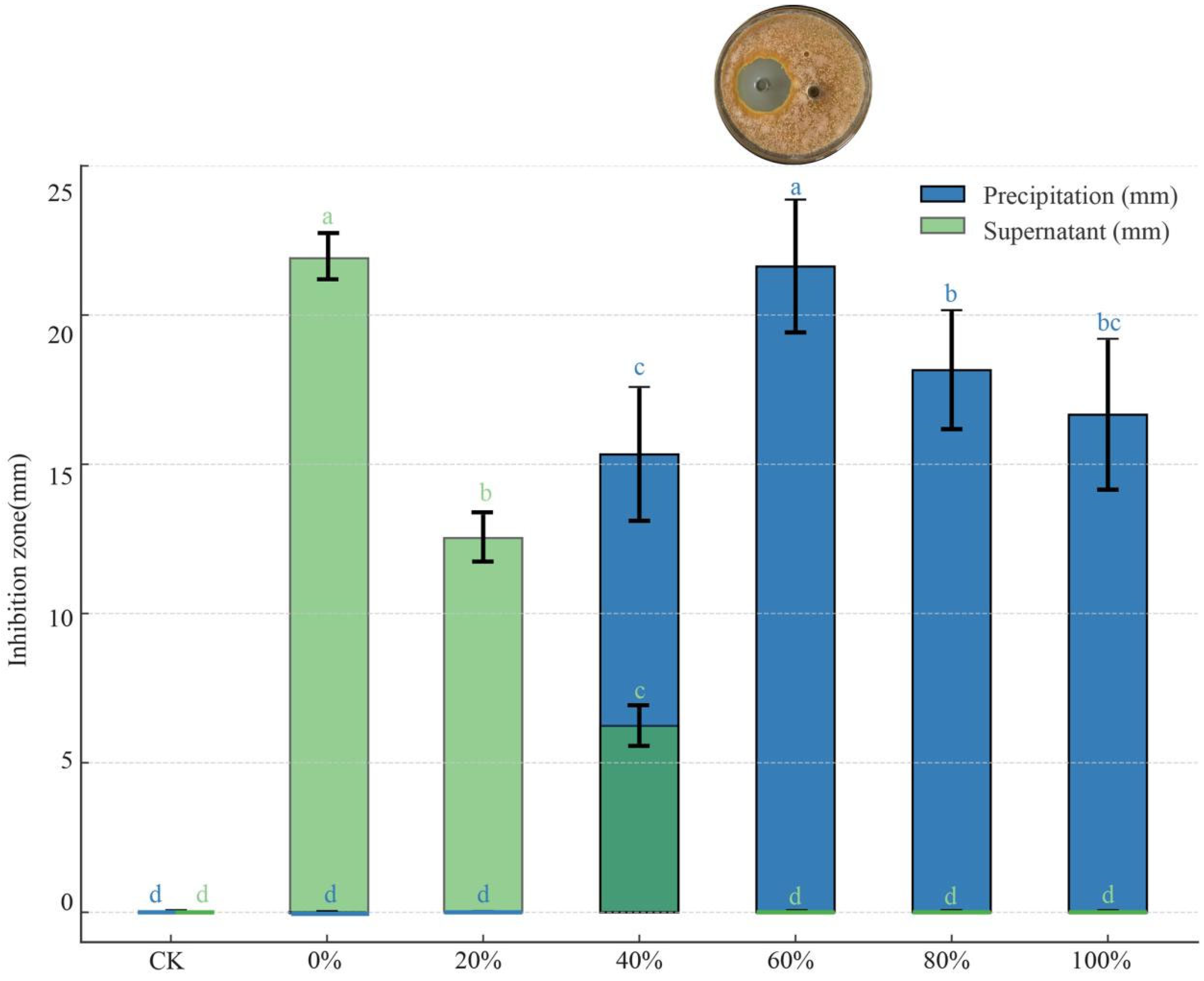 Microorganisms 13 01302 g007