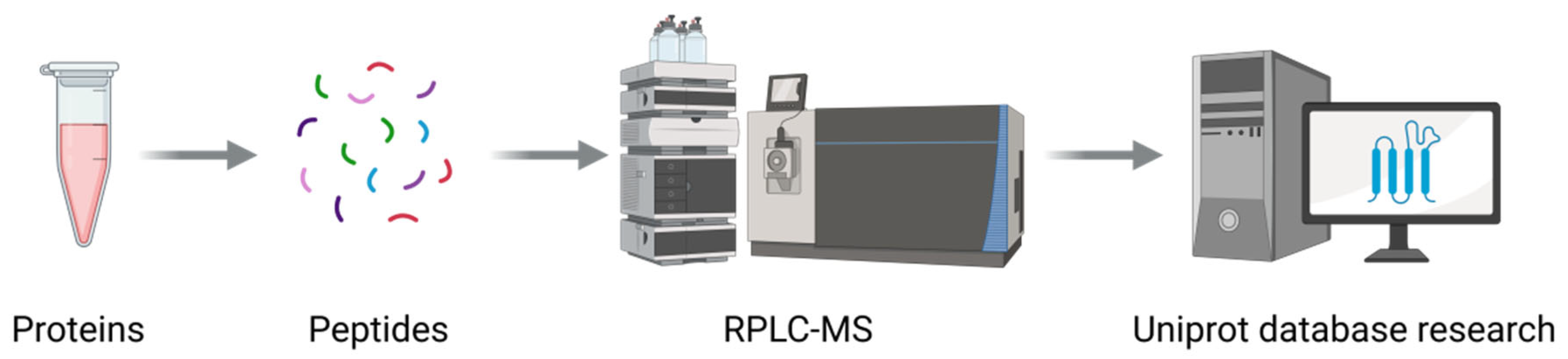 Microorganisms 13 01302 g009