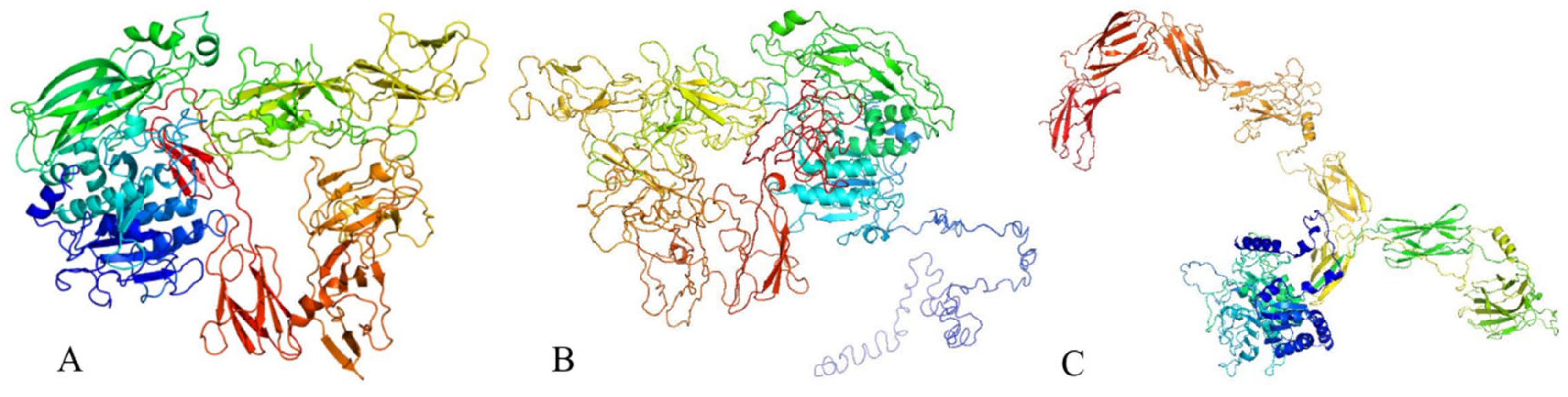 Microorganisms 13 01302 g010