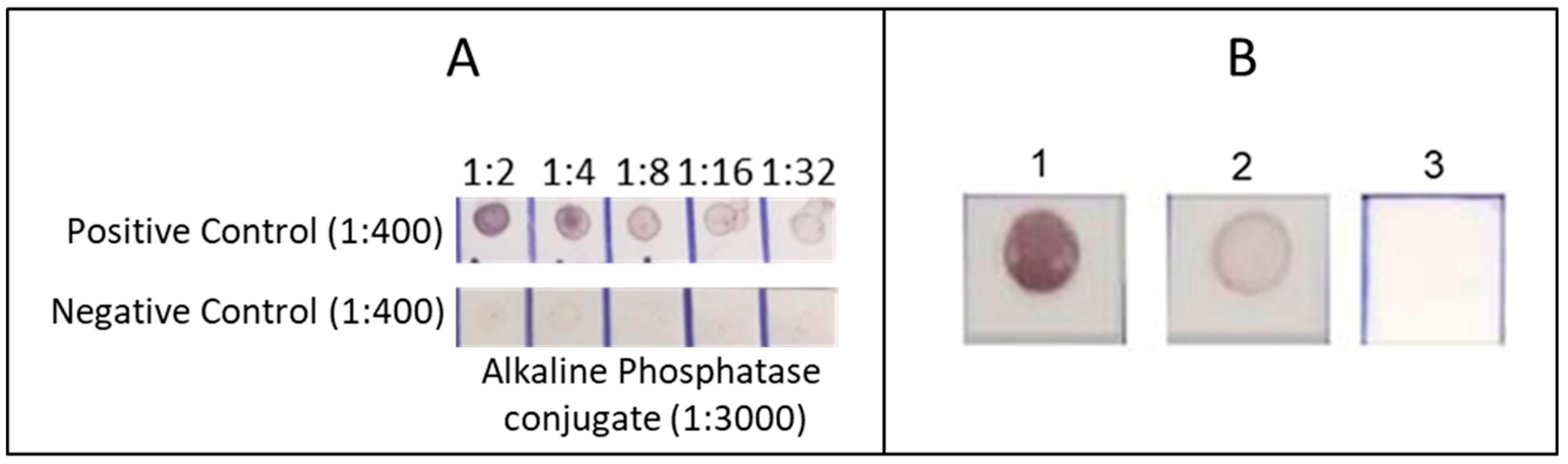 Microorganisms 13 01307 g003