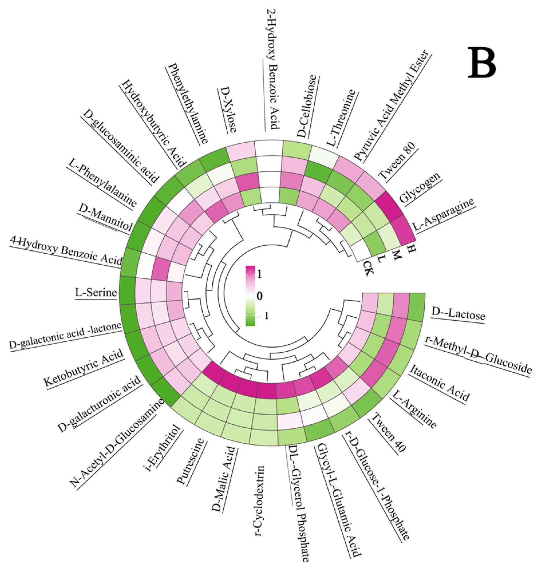 Microorganisms 13 01318 g007b