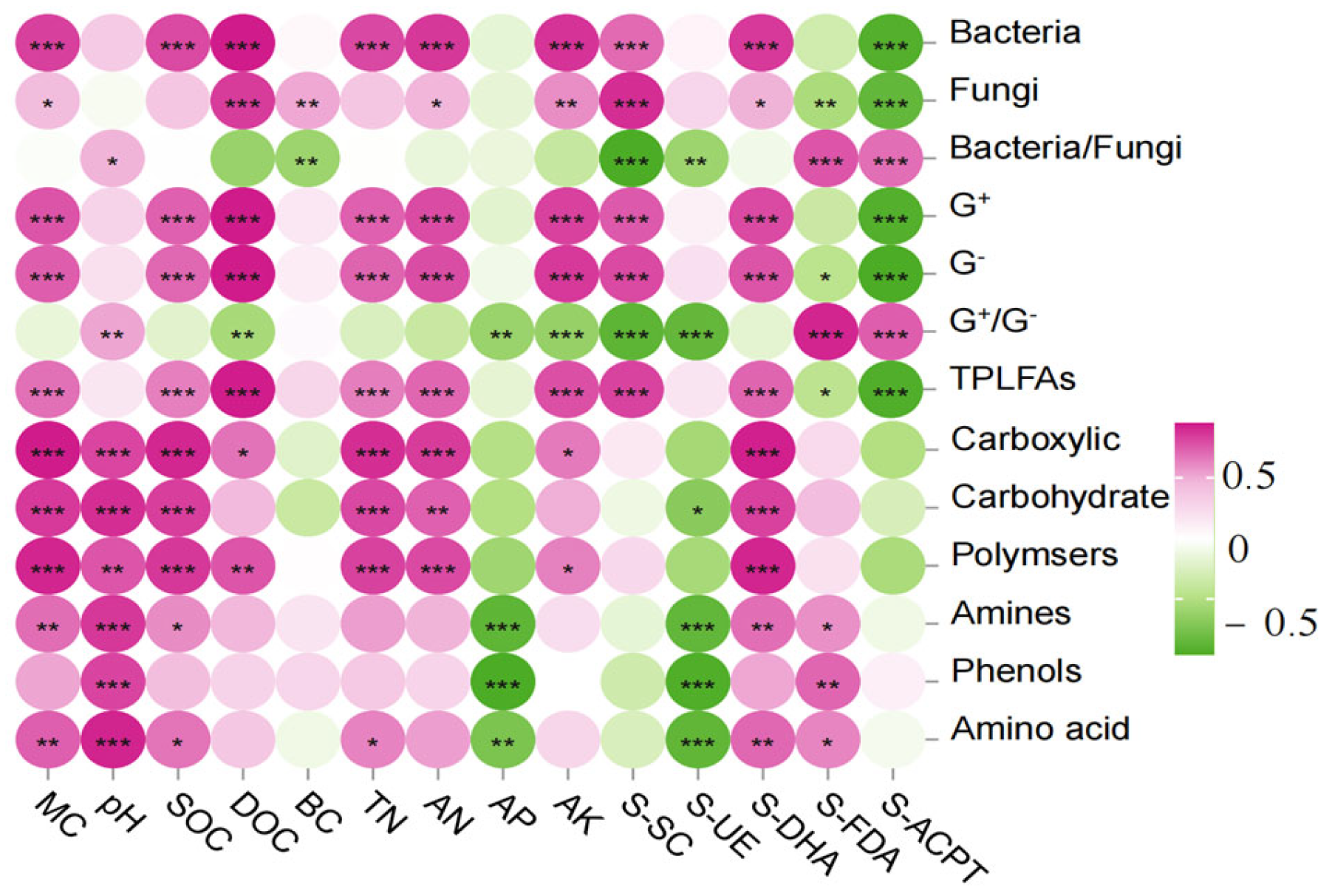 Microorganisms 13 01318 g008