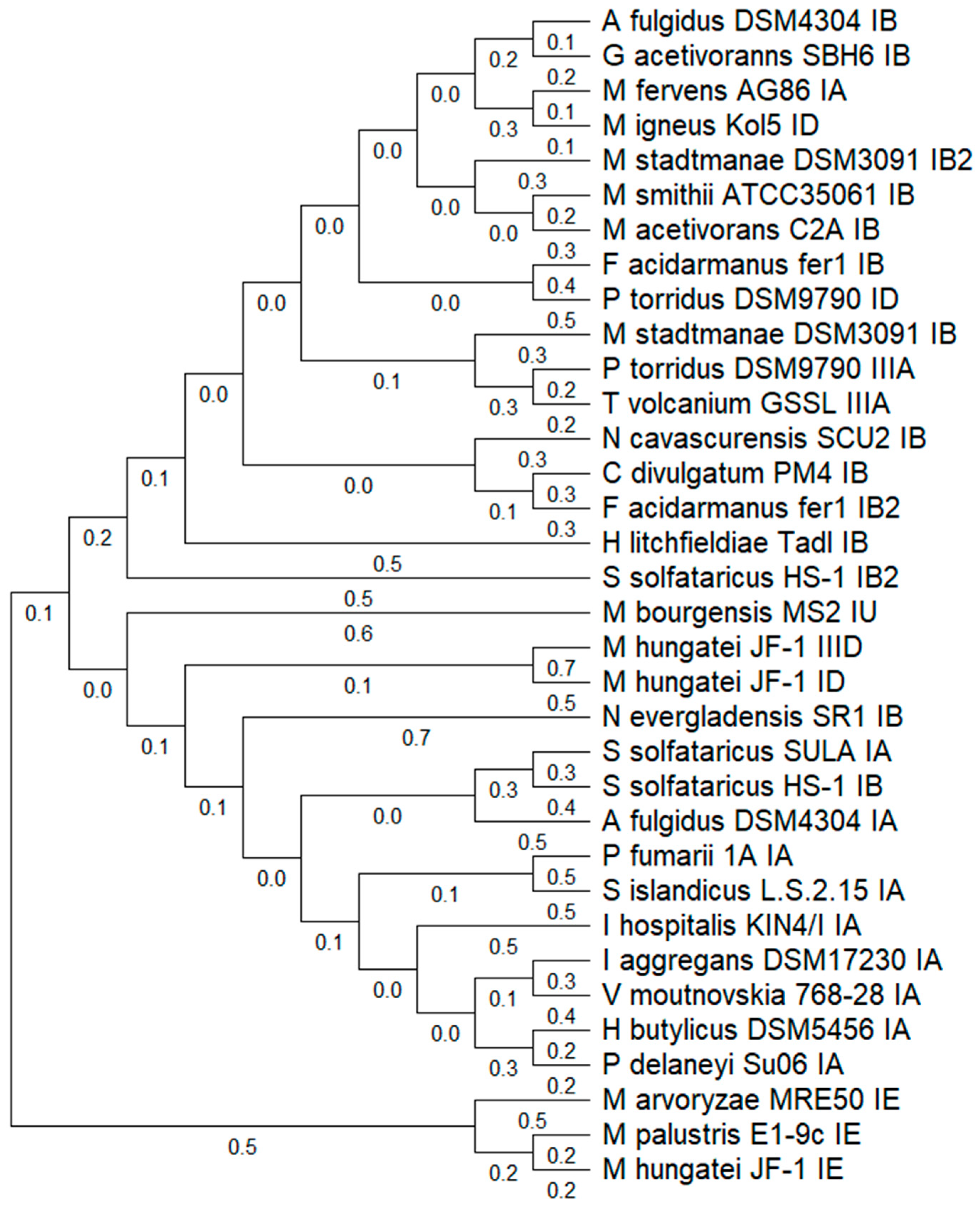 Microorganisms 13 01321 g001