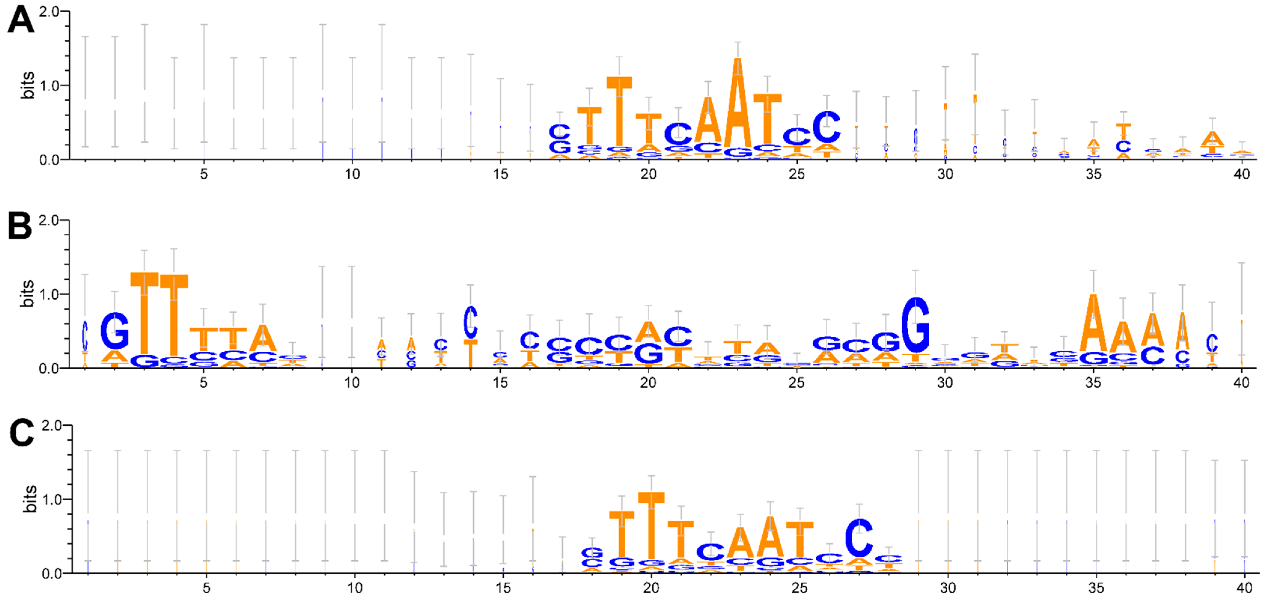 Microorganisms 13 01321 g004