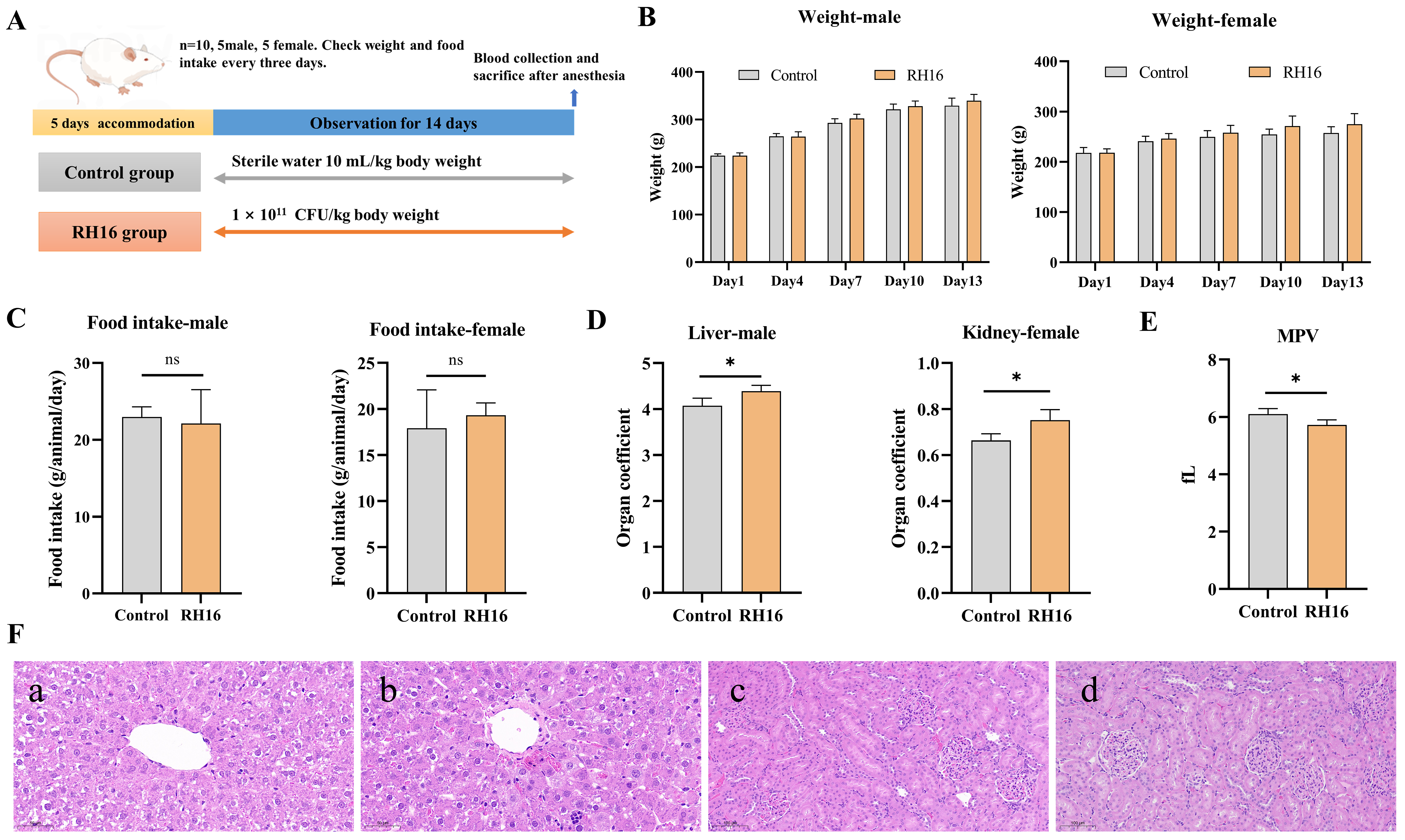 Microorganisms 13 01323 g003