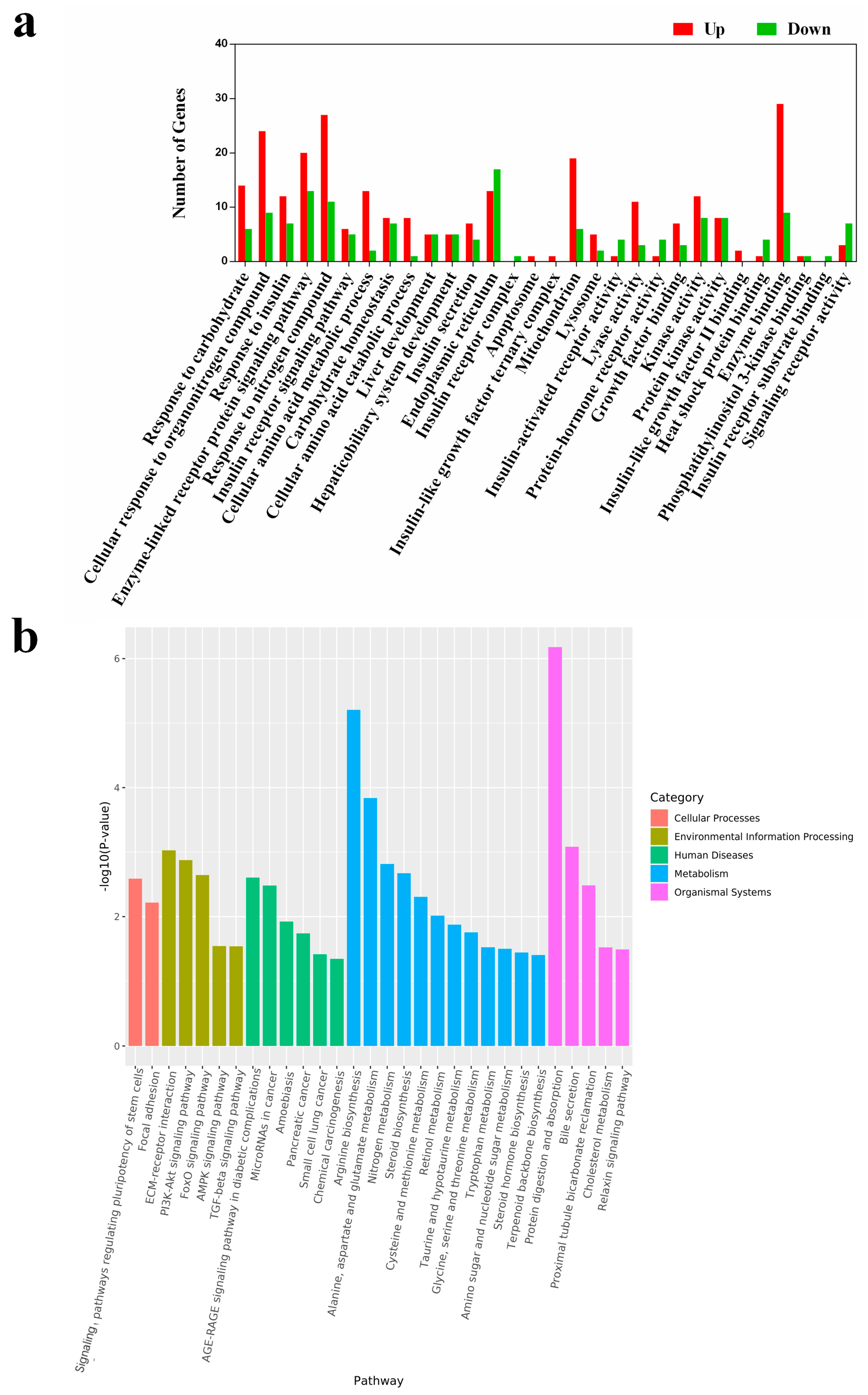 Microorganisms 13 01329 g004