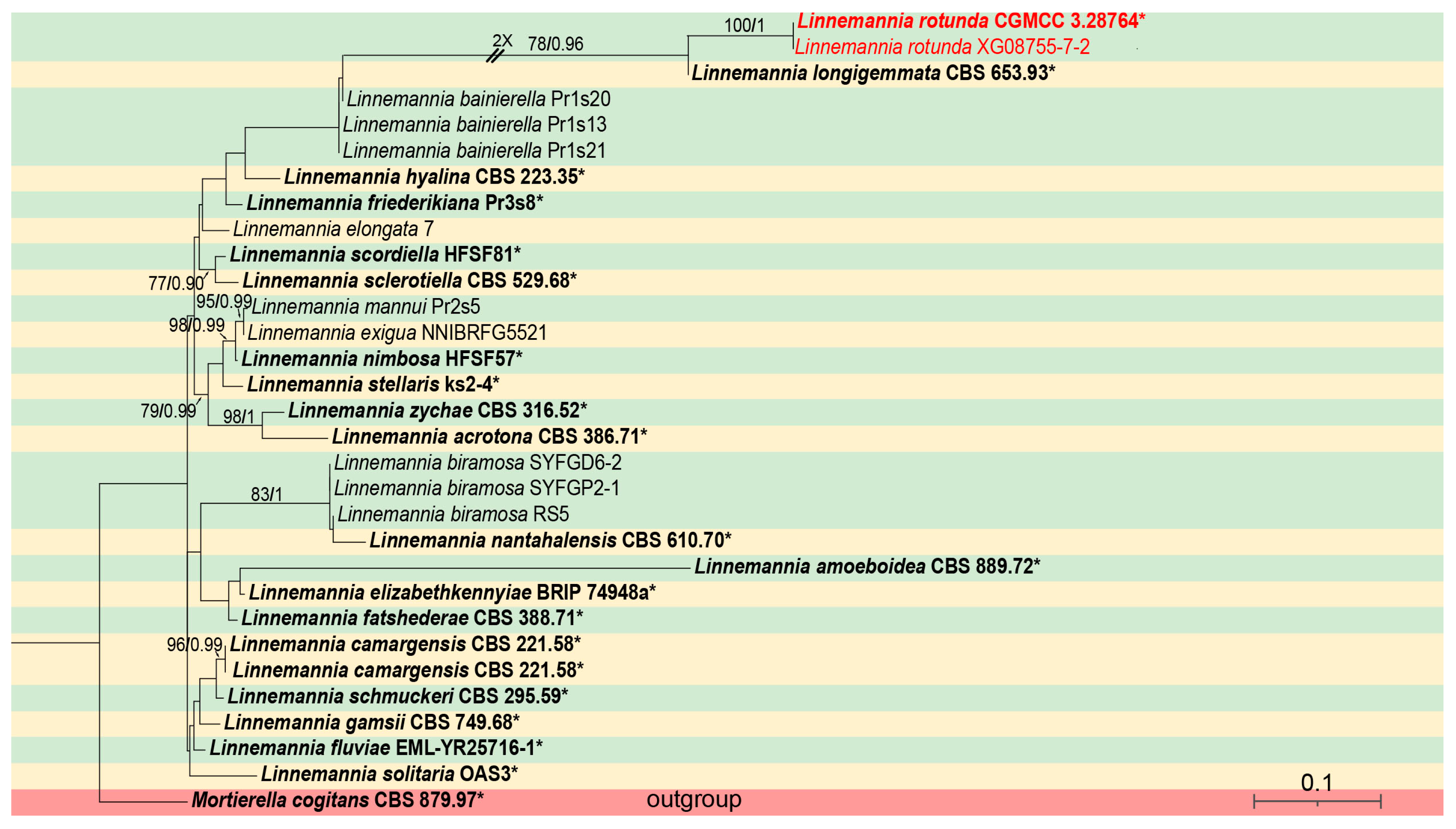 Microorganisms 13 01330 g001