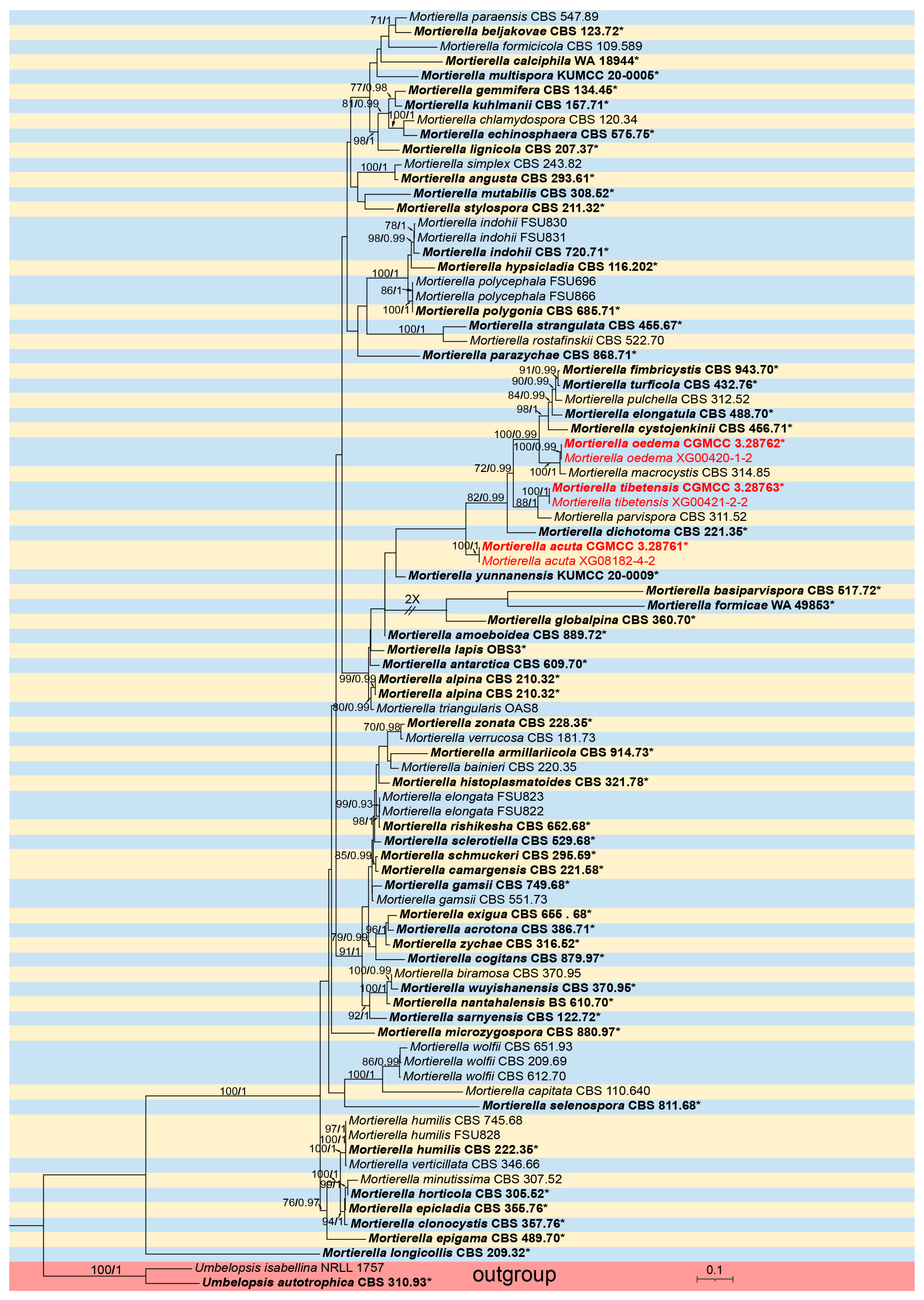 Microorganisms 13 01330 g002