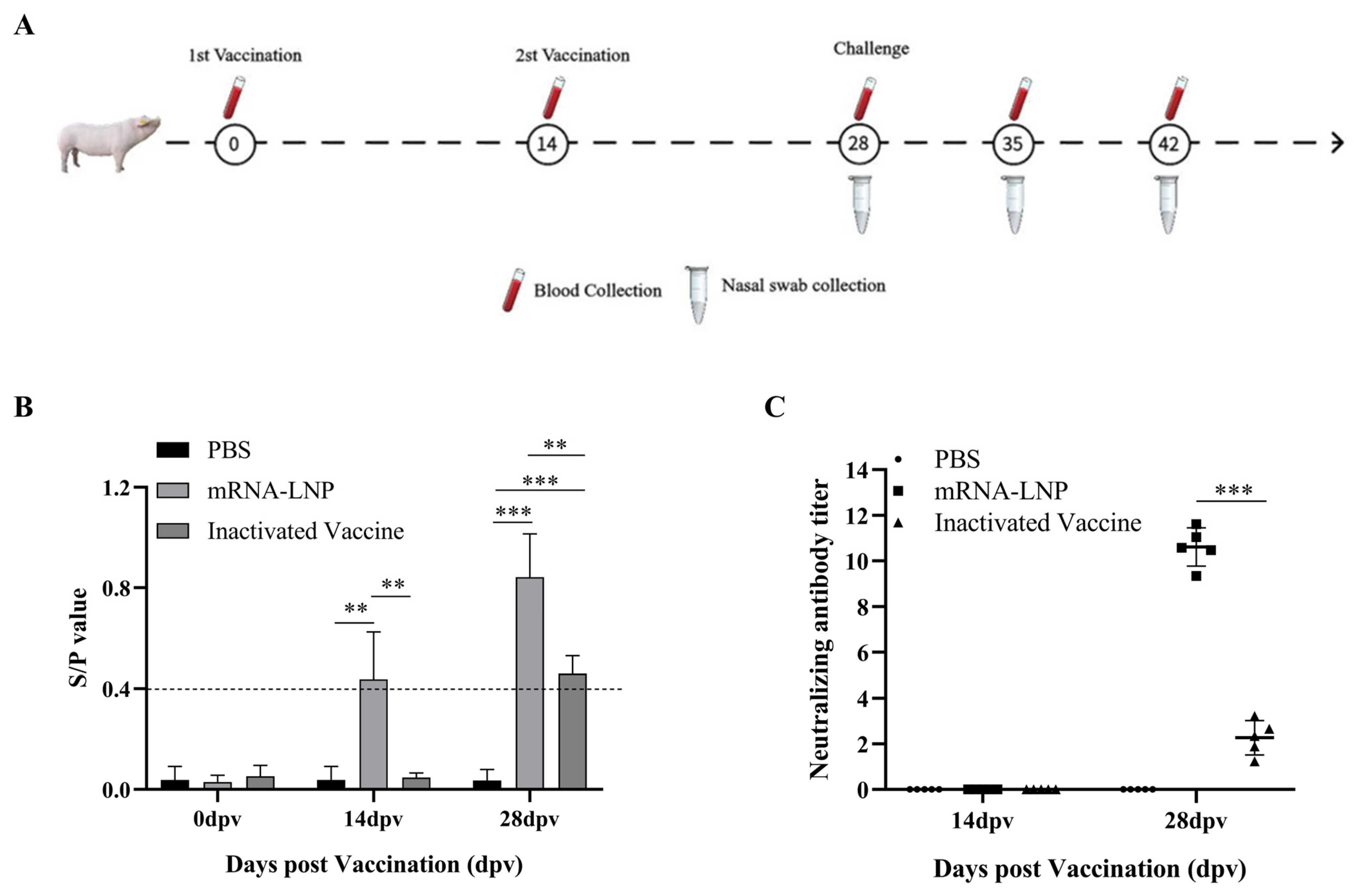 Microorganisms 13 01332 g006
