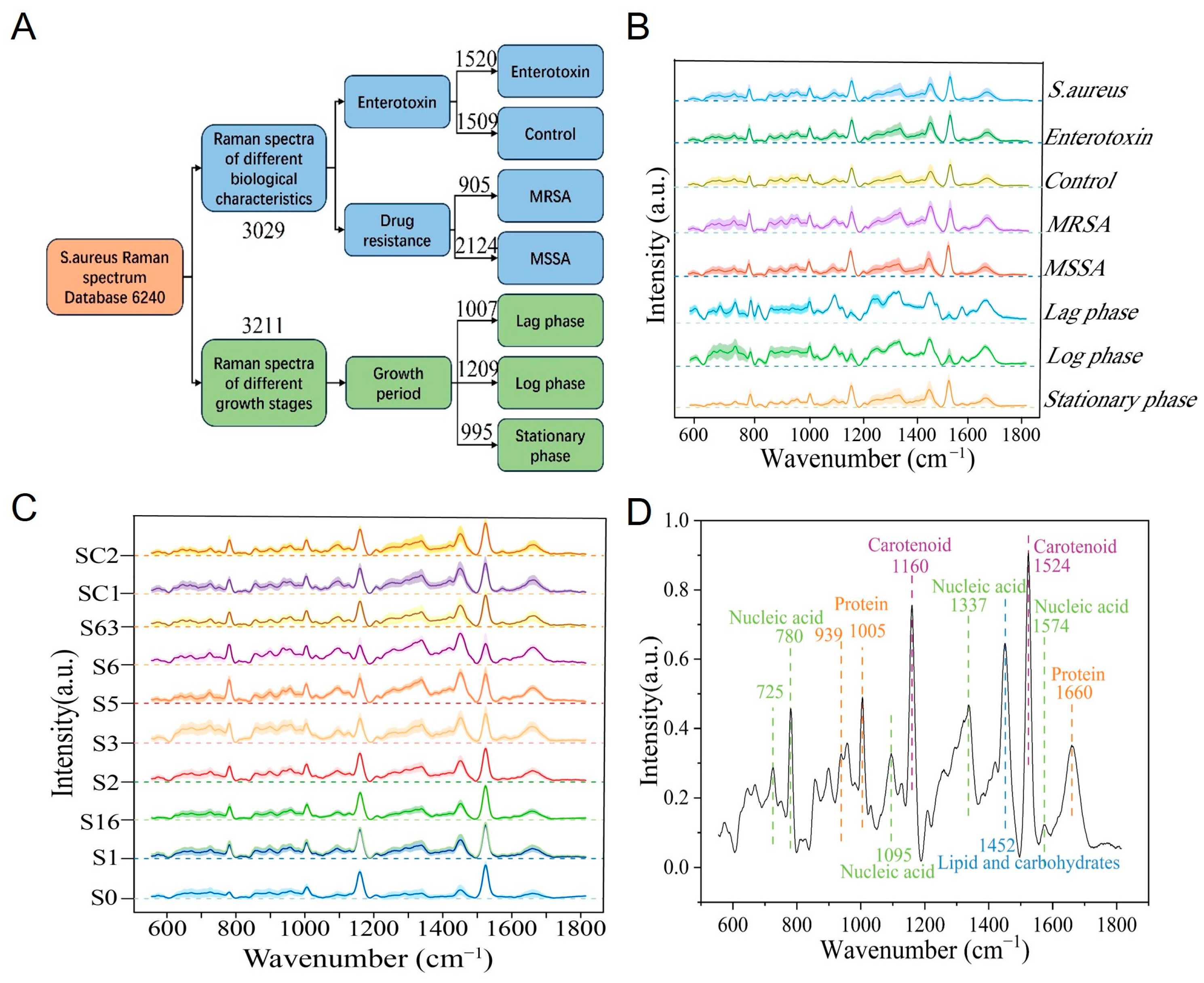 Microorganisms 13 01333 g002