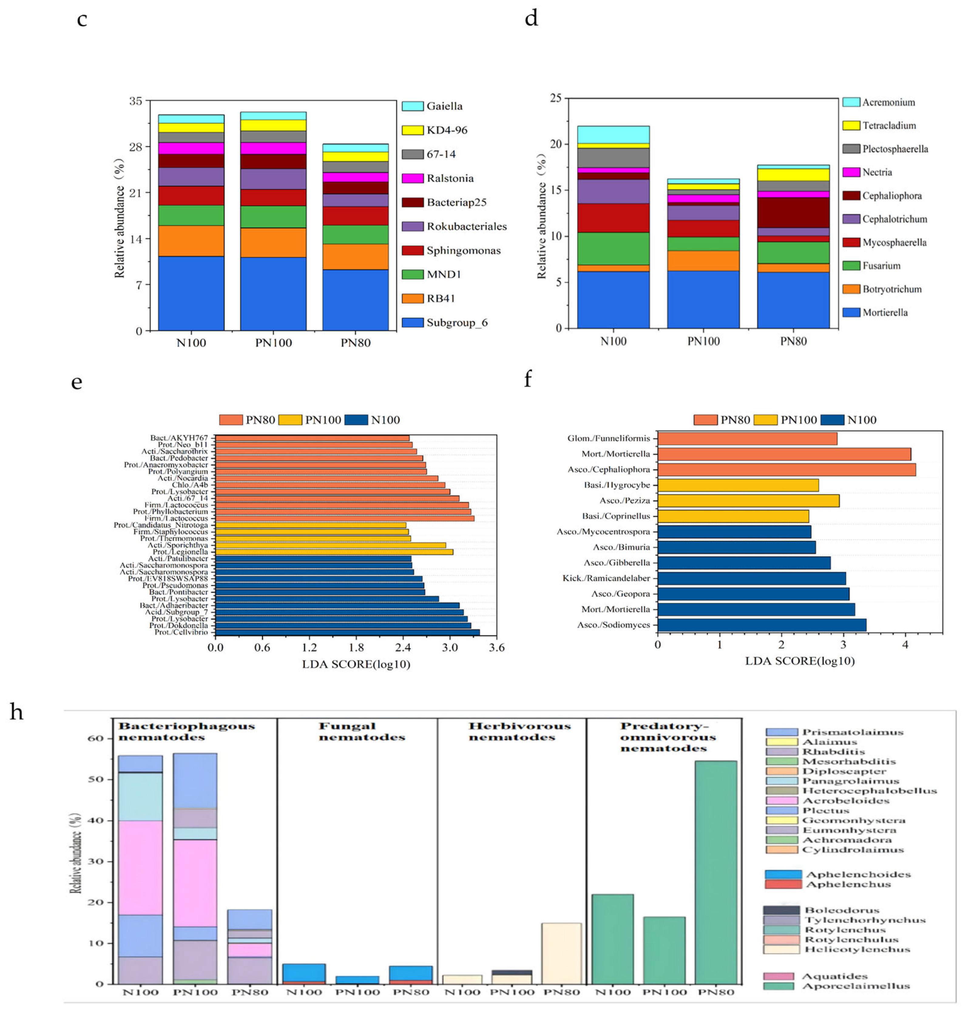 Microorganisms 13 01334 g001b