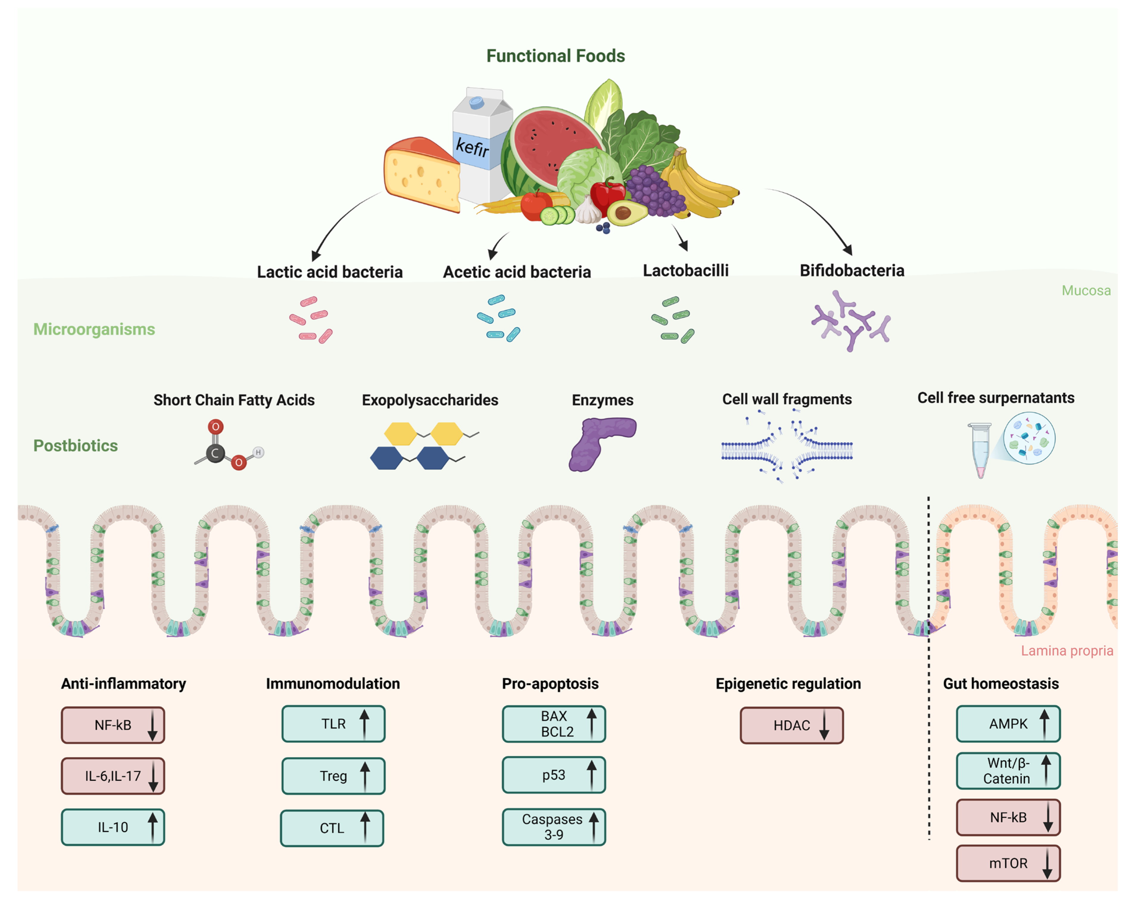 Microorganisms 13 01335 g003