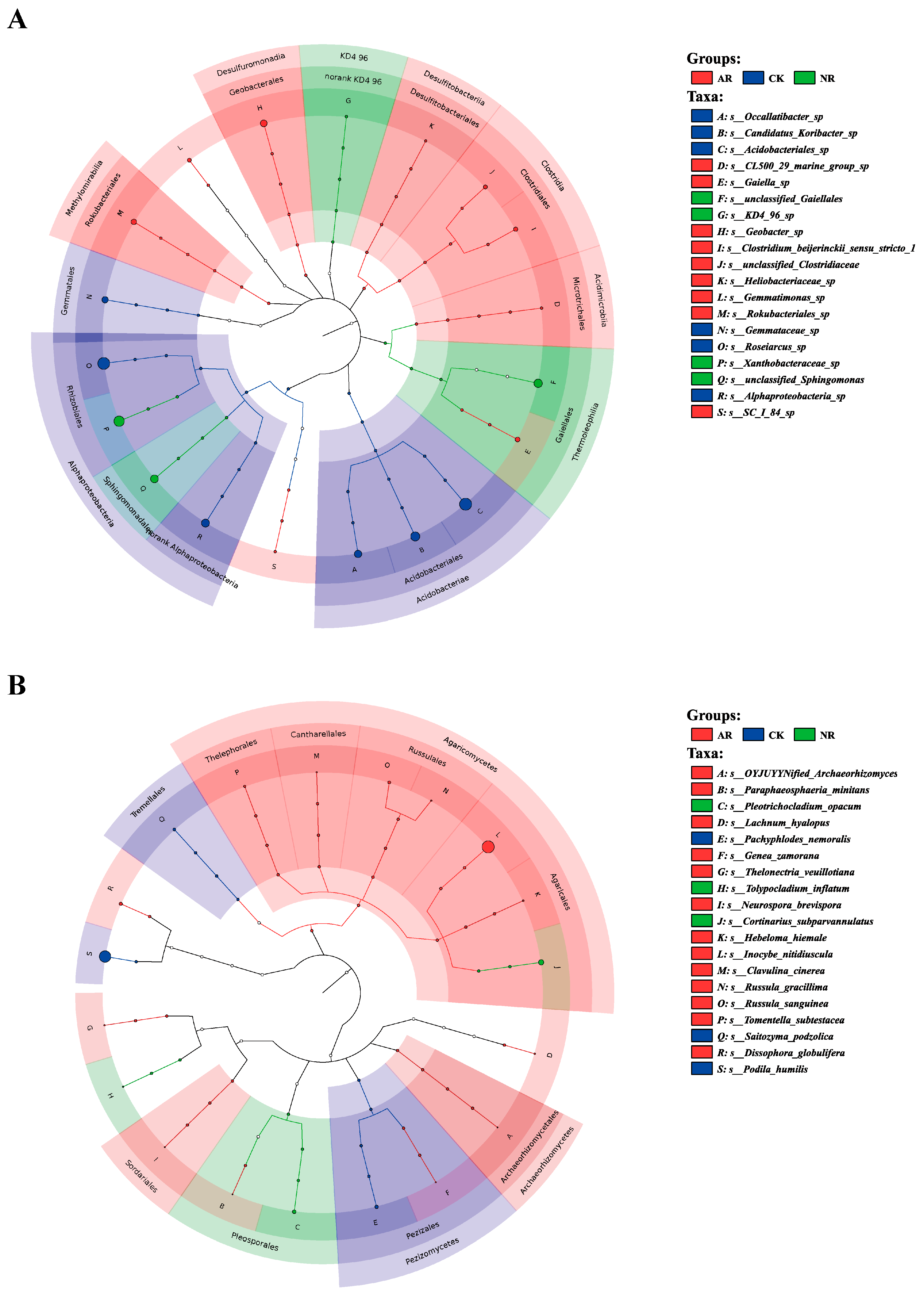 Microorganisms 13 01339 g004