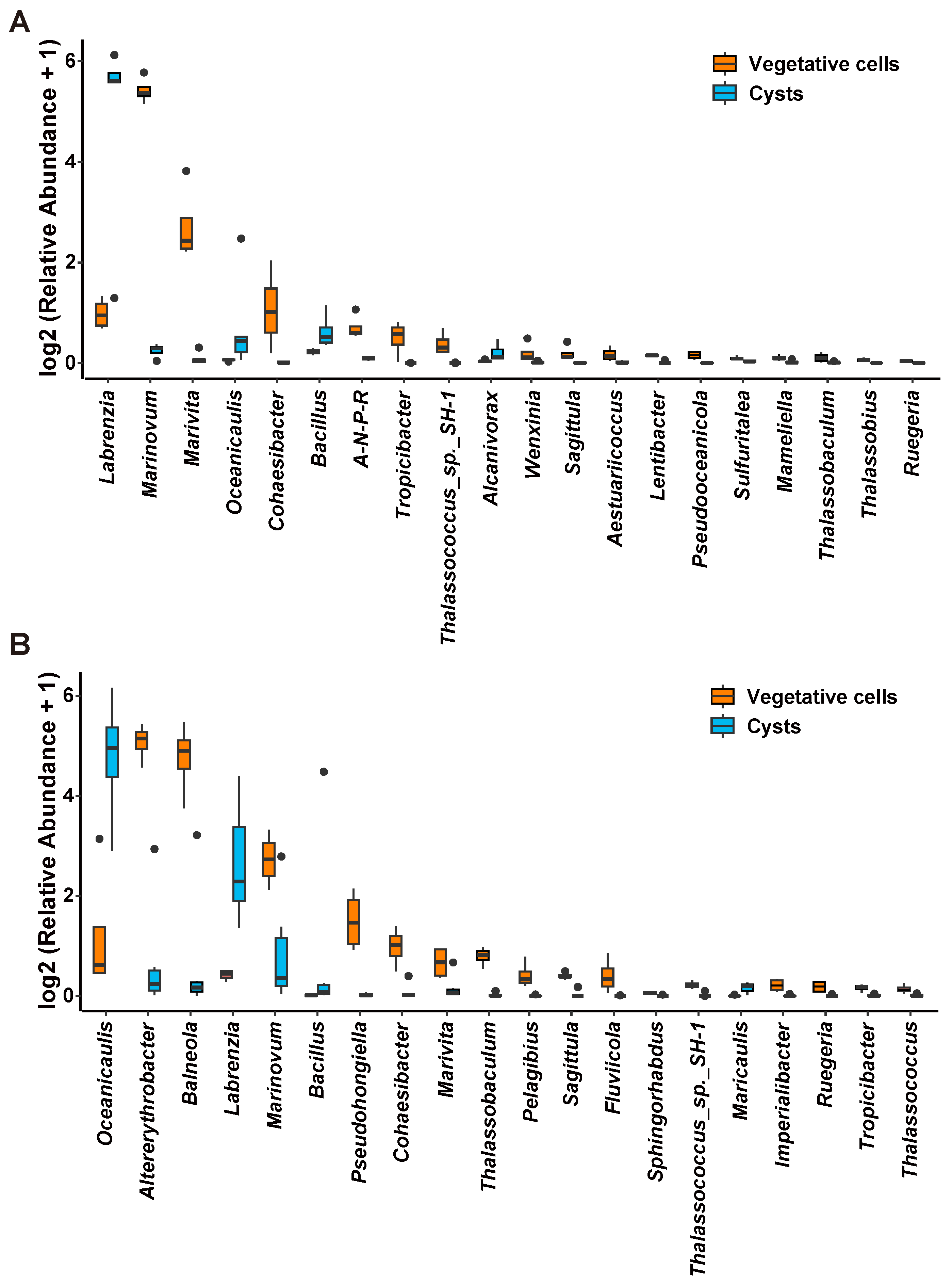 Microorganisms 13 01340 g006