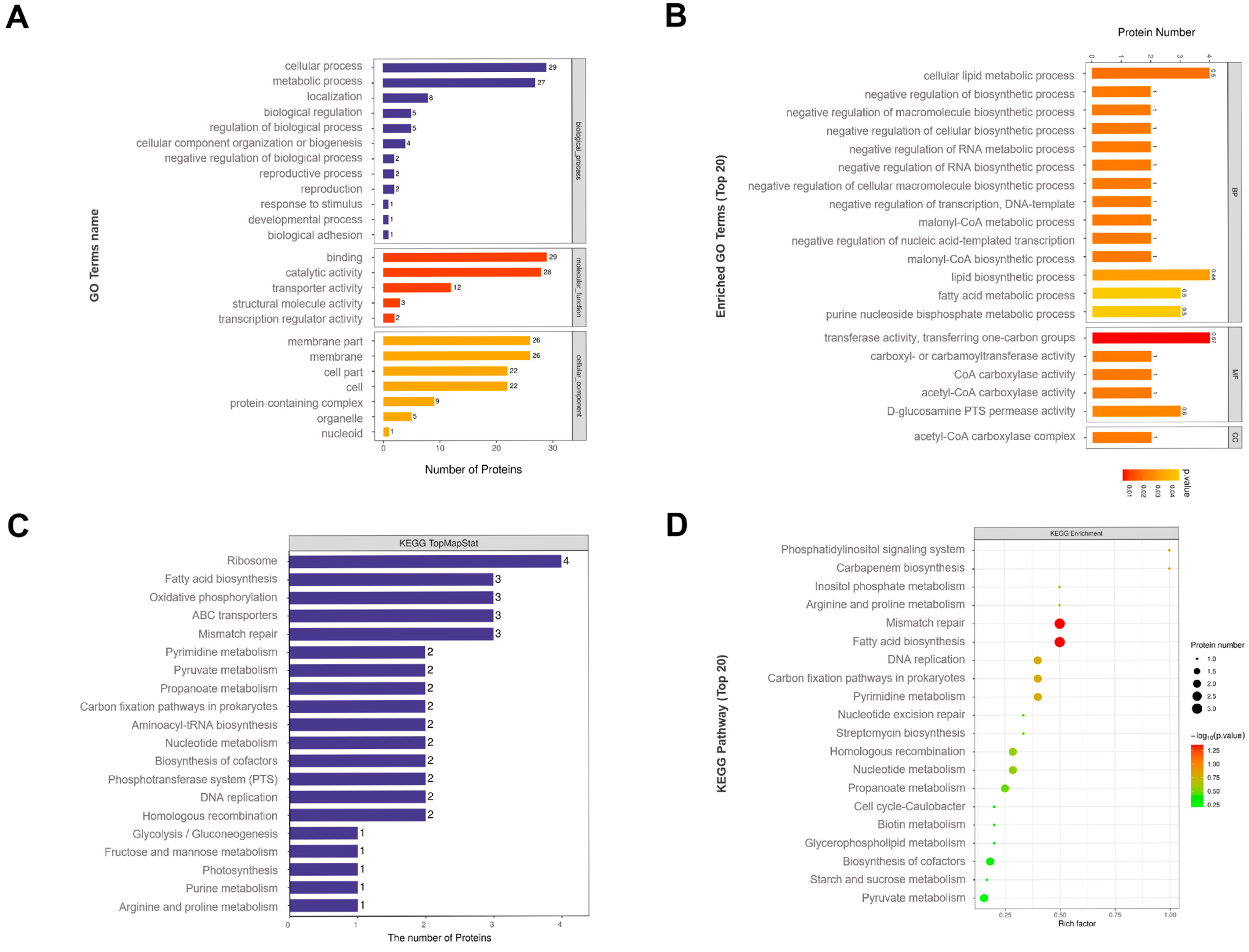 Microorganisms 13 01344 g004