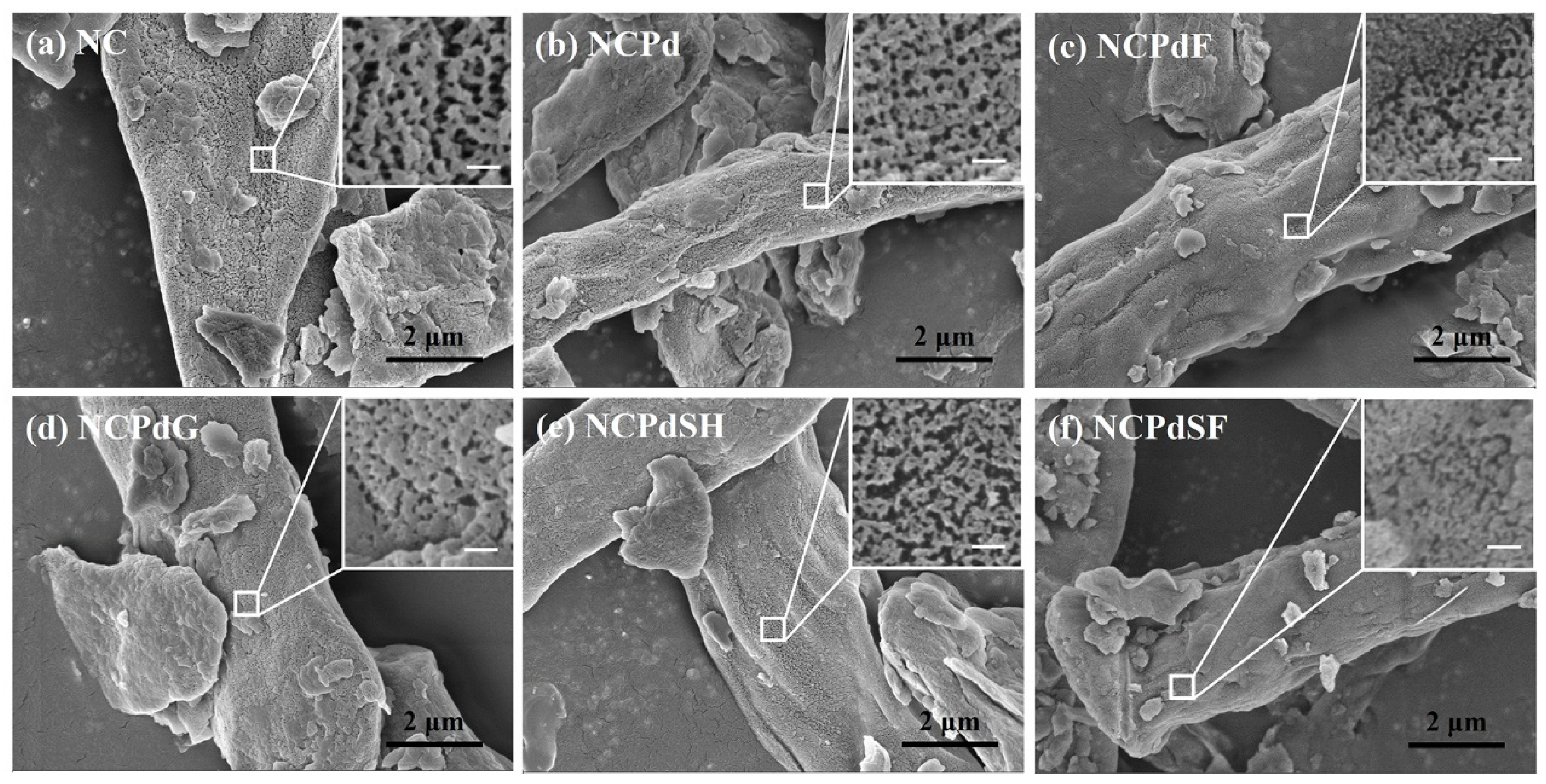 Microorganisms 13 01346 g001