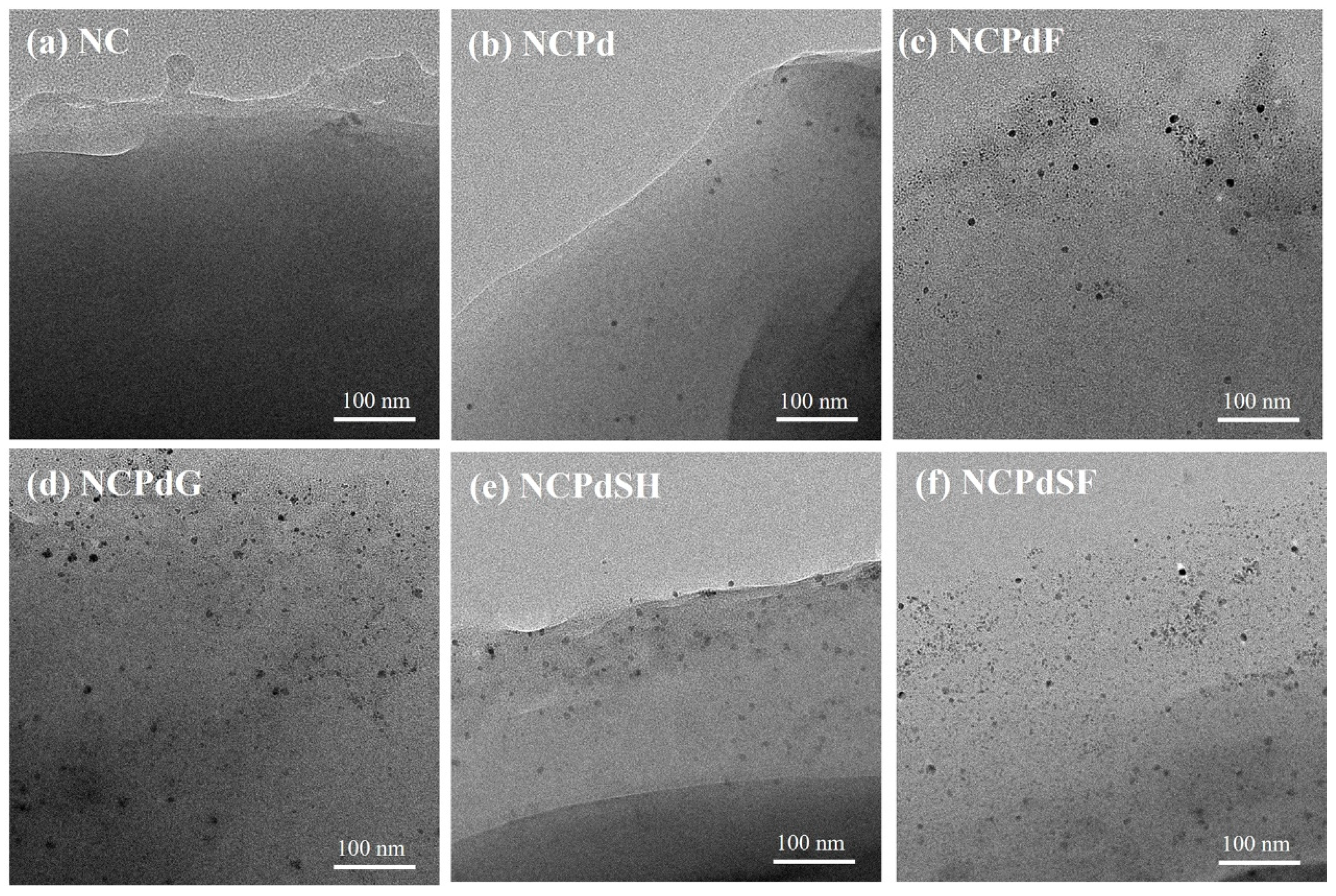 Microorganisms 13 01346 g002