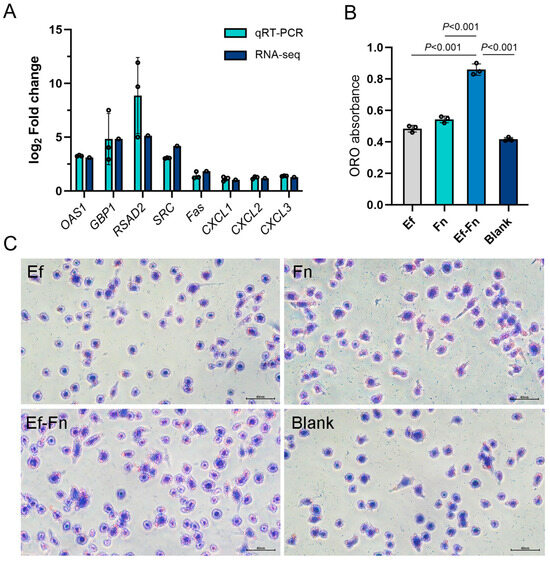 Microorganisms 13 01351 g011