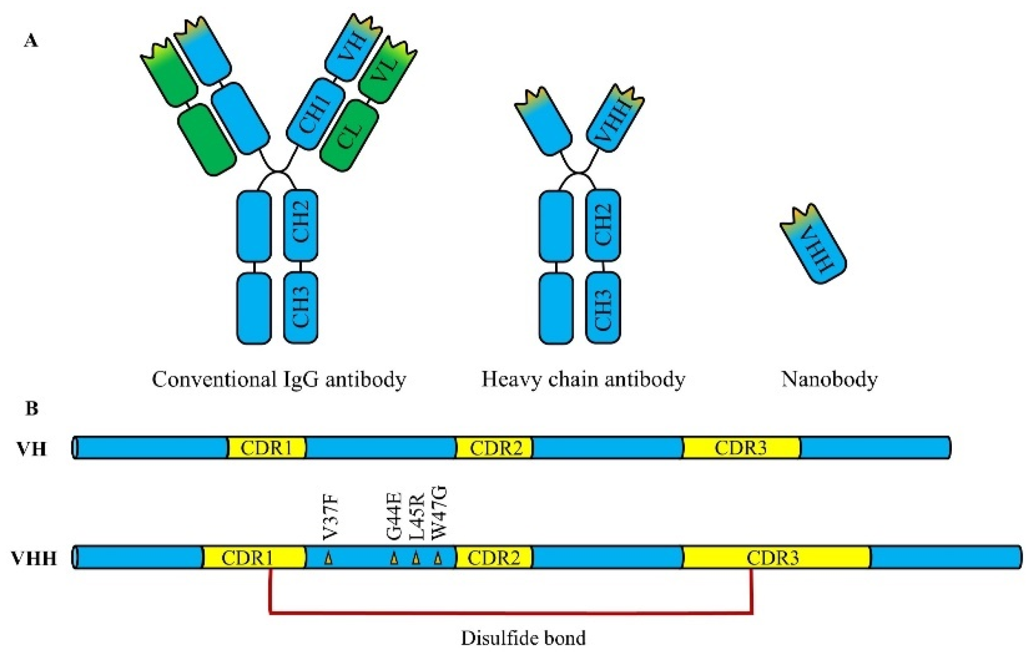 Microorganisms 13 01352 g001
