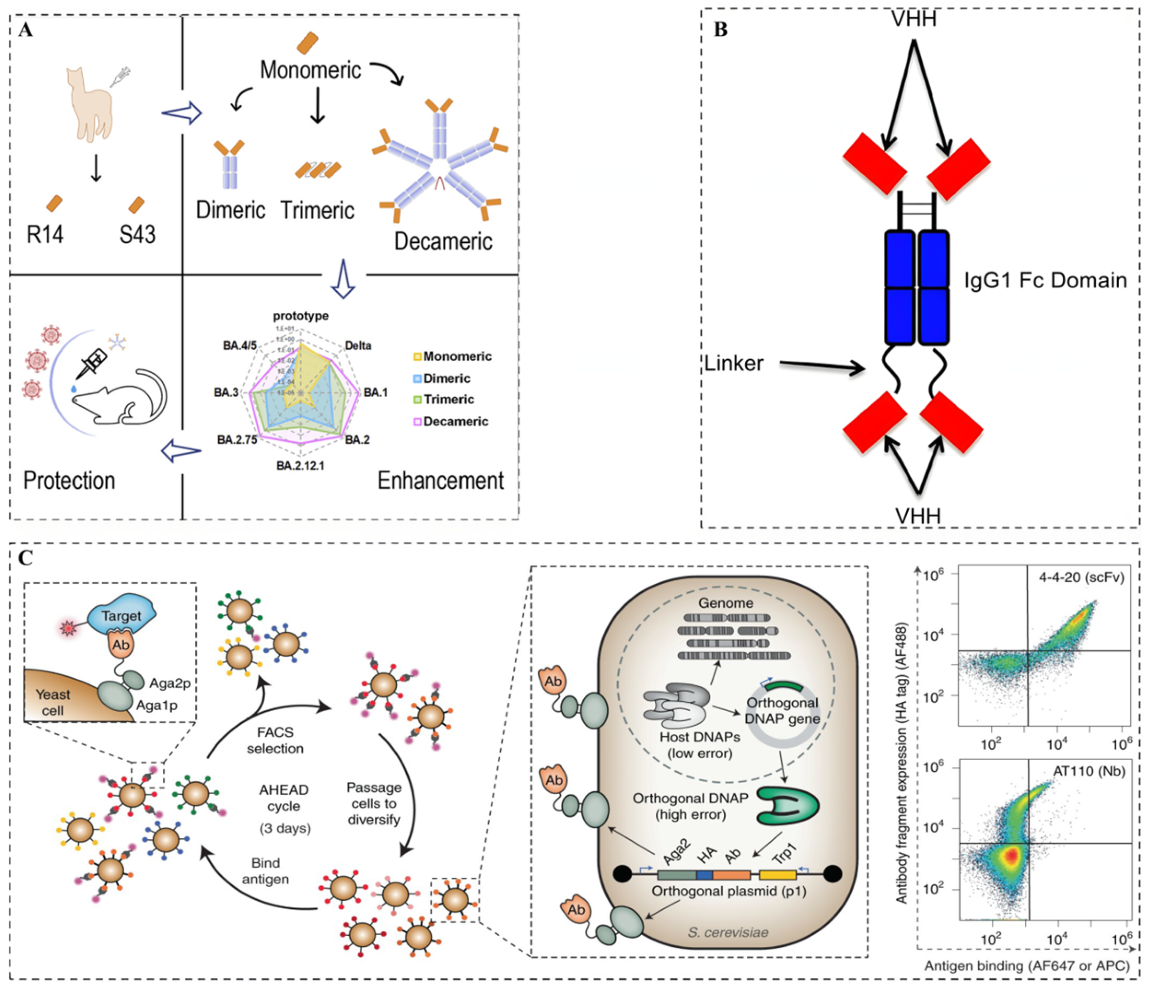 Microorganisms 13 01352 g002