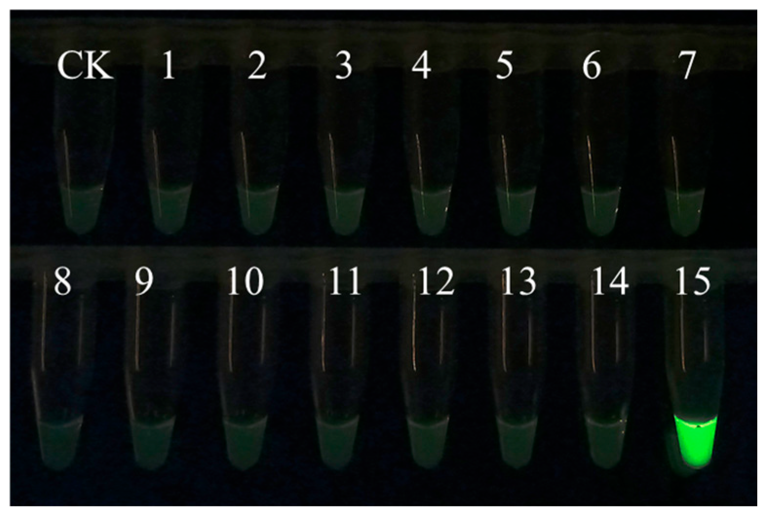 Microorganisms 13 01353 g001