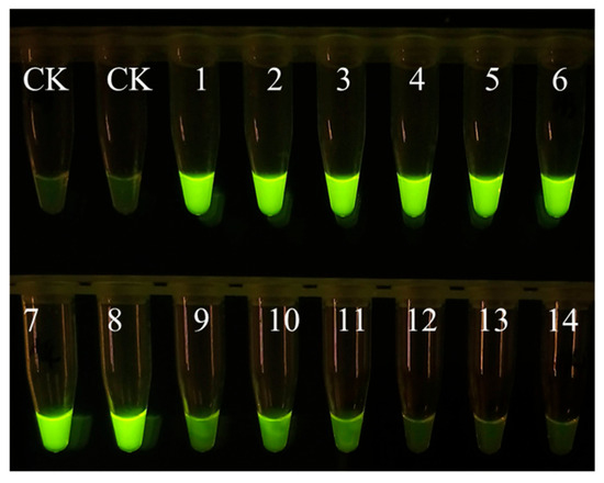 Microorganisms 13 01353 g0a1