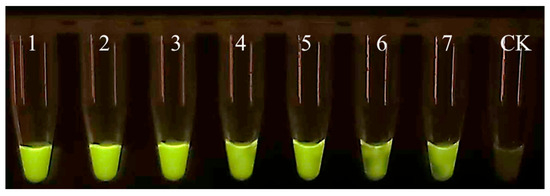 Microorganisms 13 01353 g0a2