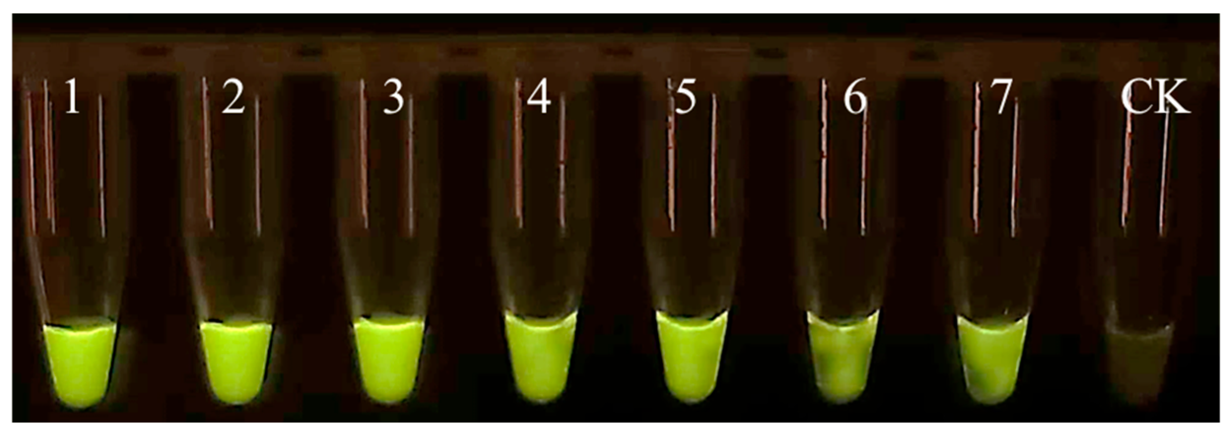 Microorganisms 13 01353 g0a2
