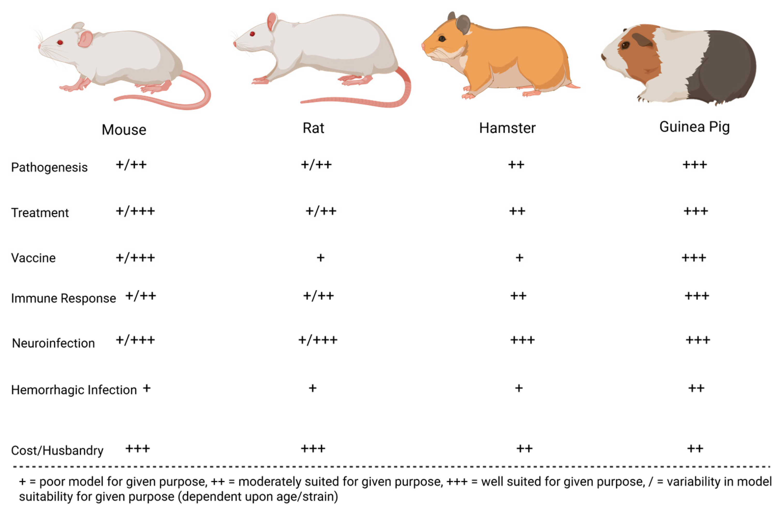 Microorganisms 13 01358 g002