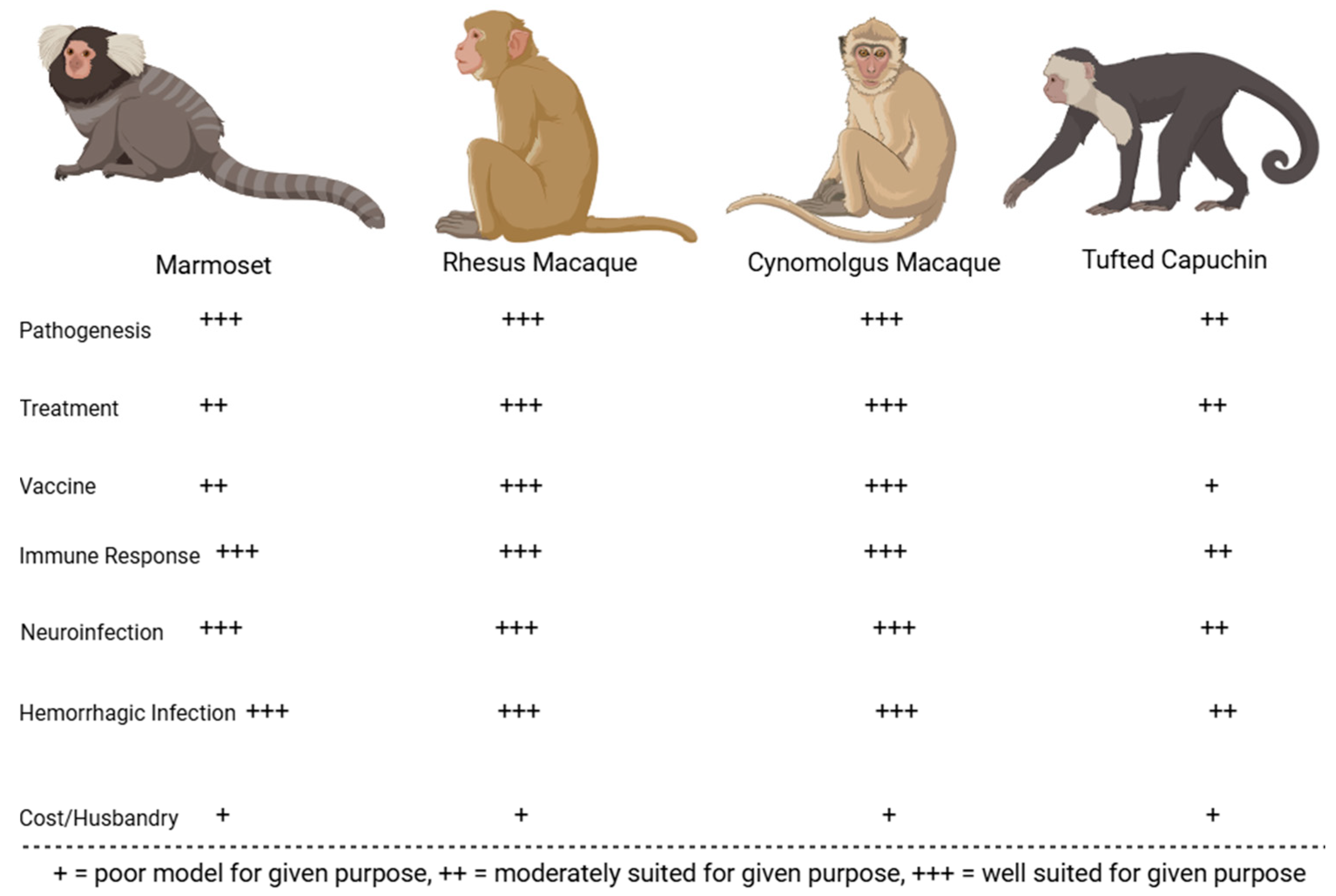 Microorganisms 13 01358 g003