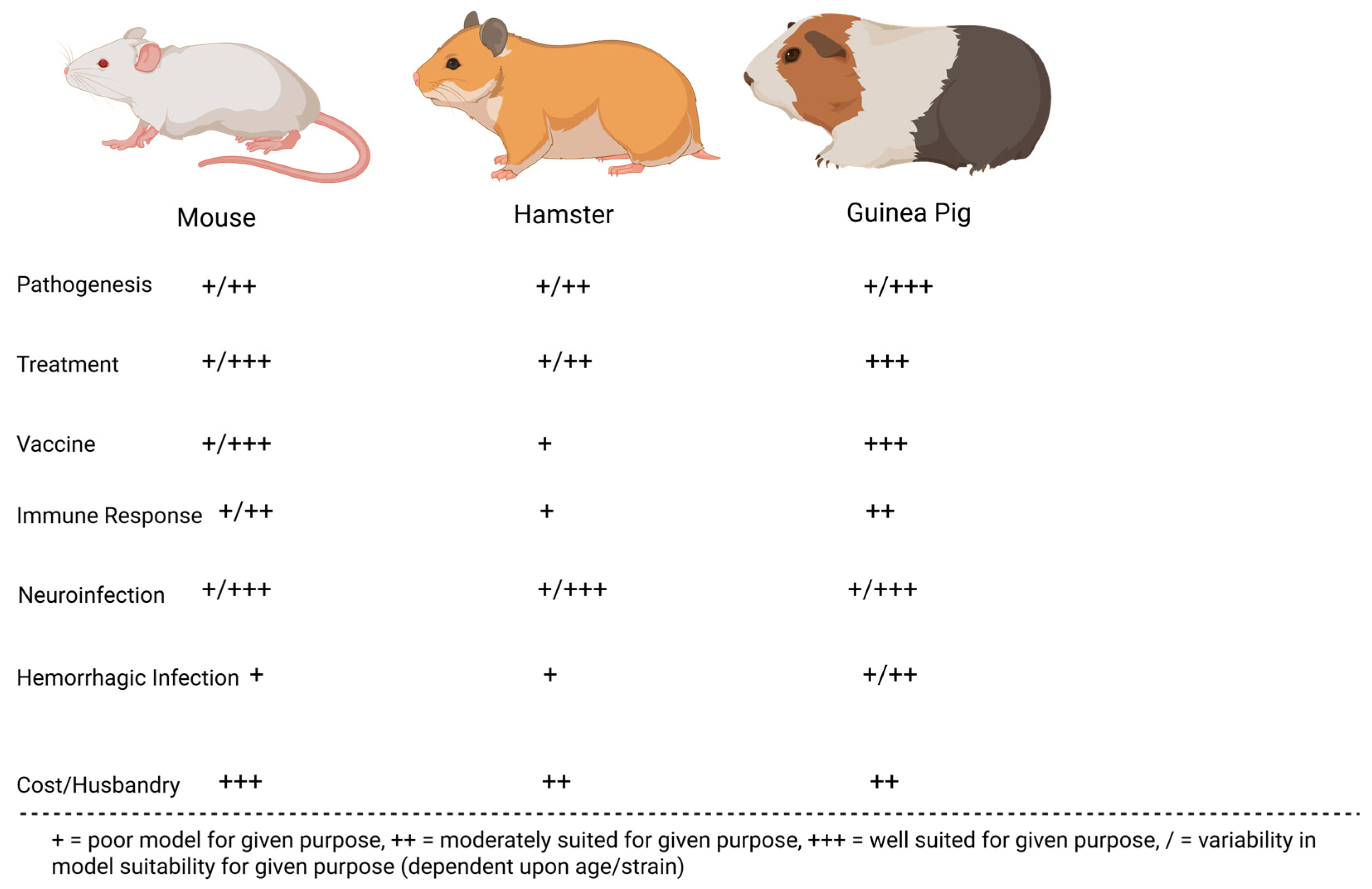 Microorganisms 13 01358 g005