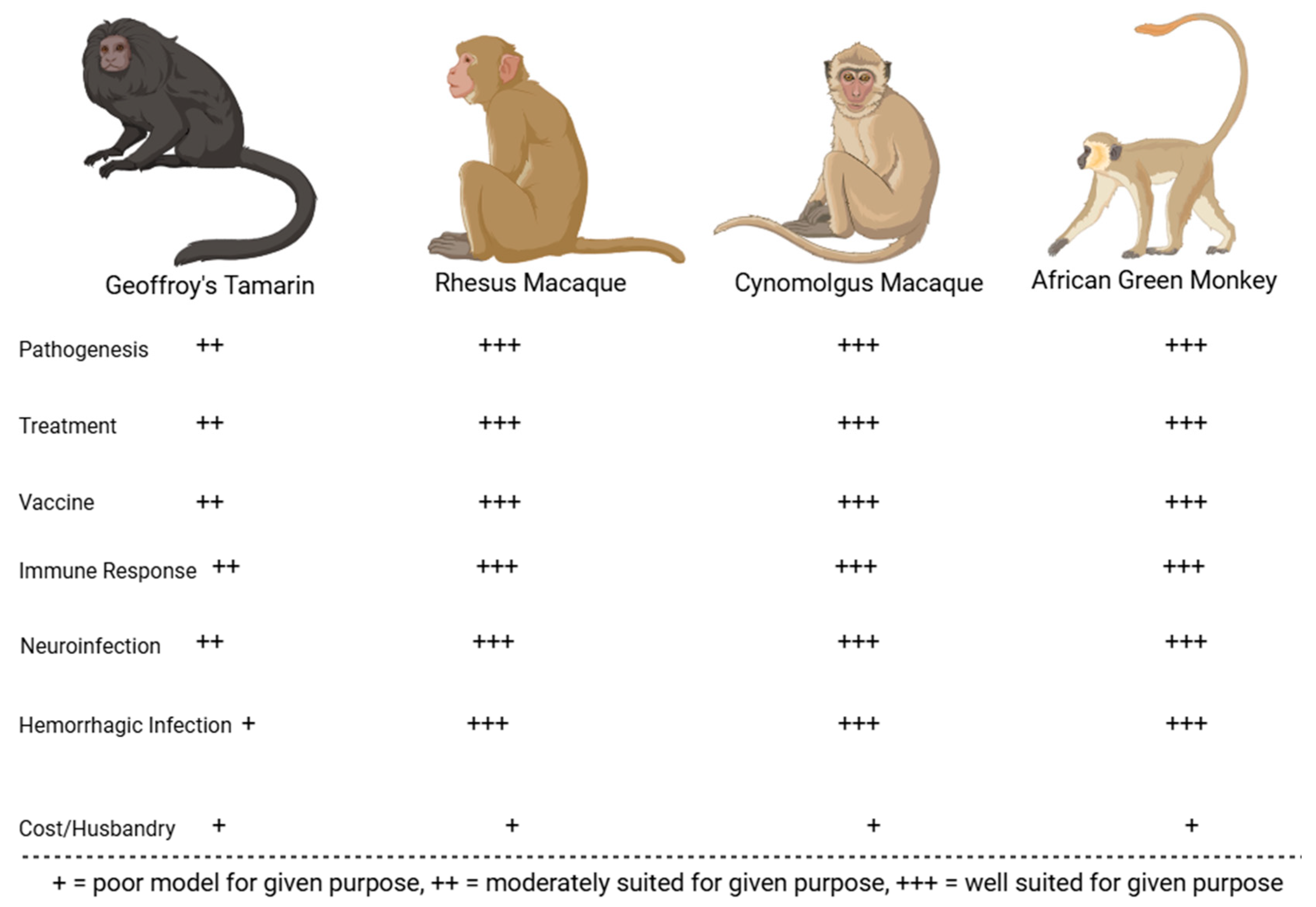 Microorganisms 13 01358 g006