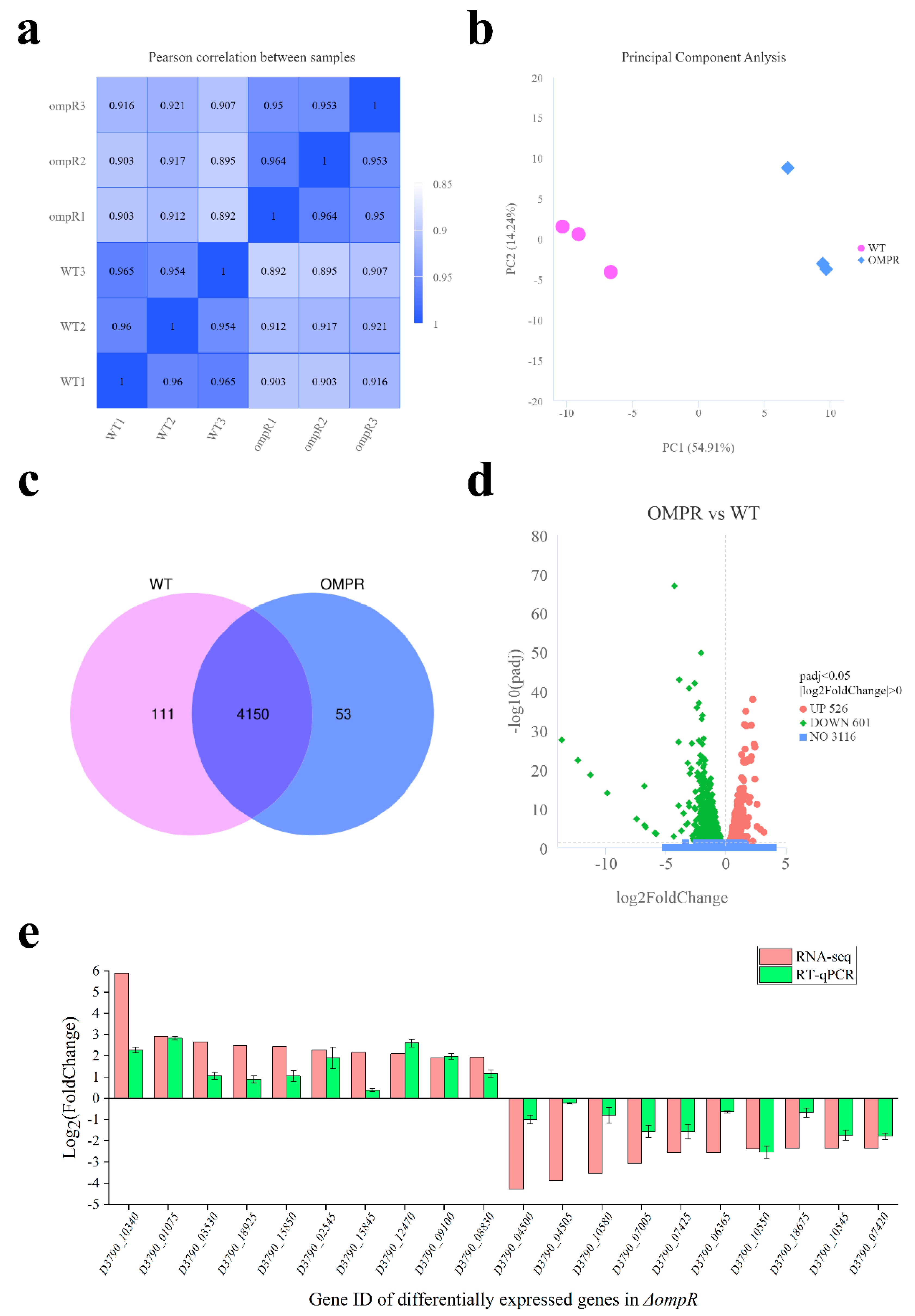 Microorganisms 13 01360 g004