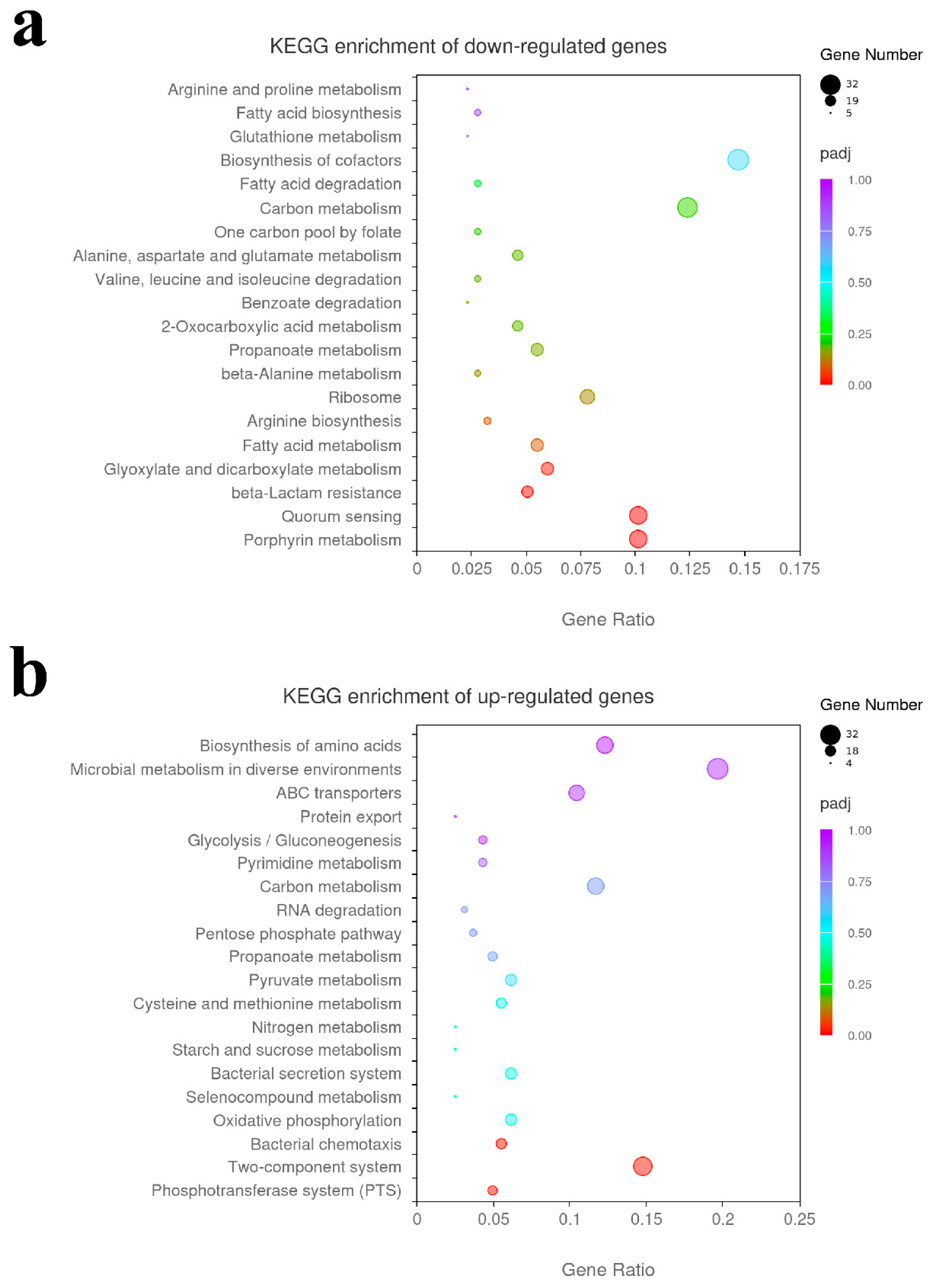 Microorganisms 13 01360 g006