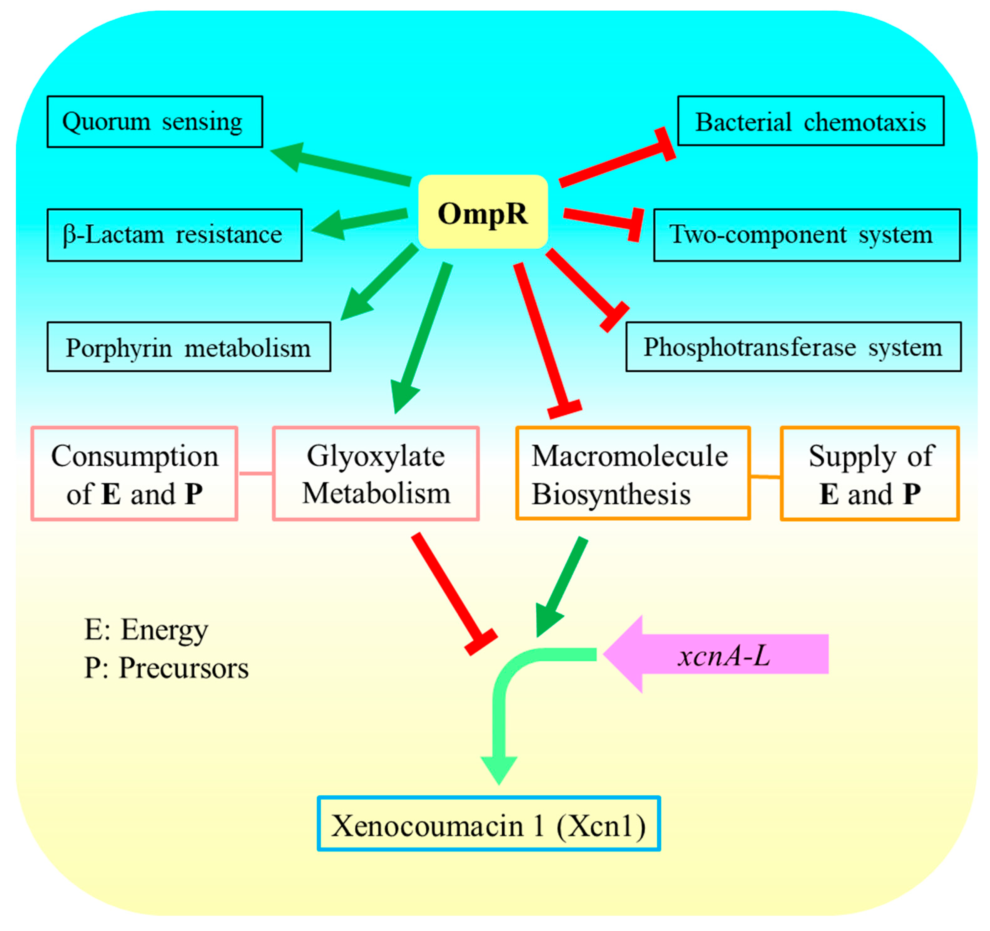 Microorganisms 13 01360 g007