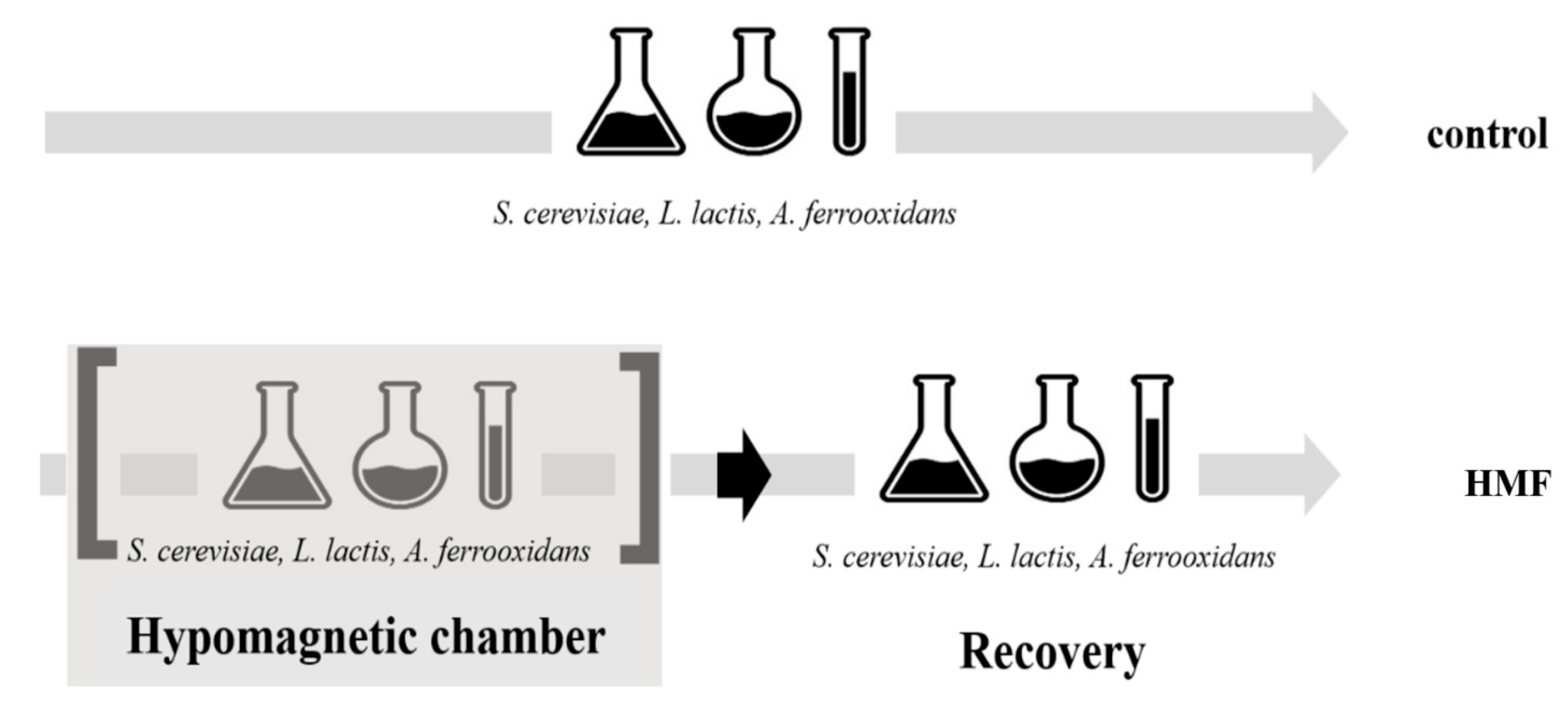 Microorganisms 13 01362 g001