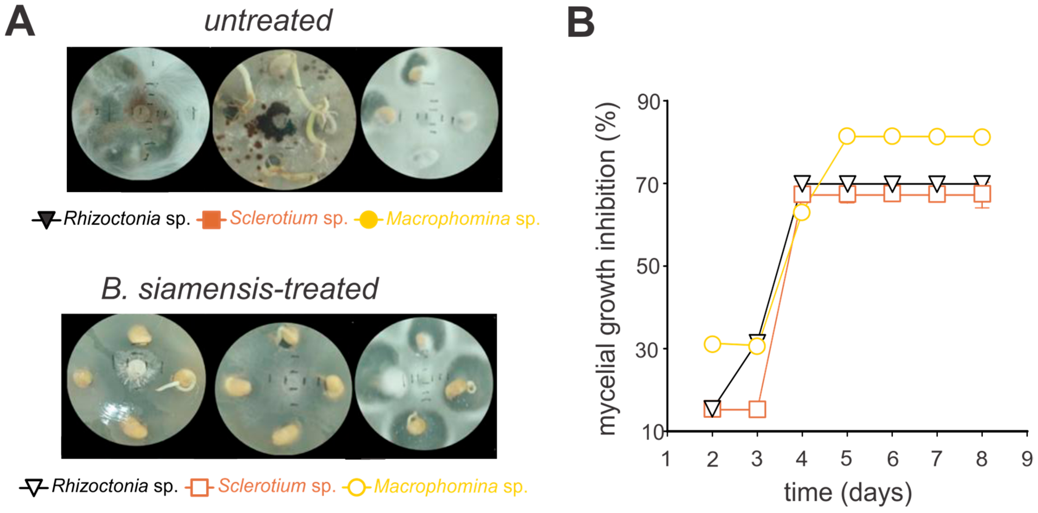 Microorganisms 13 01366 g004