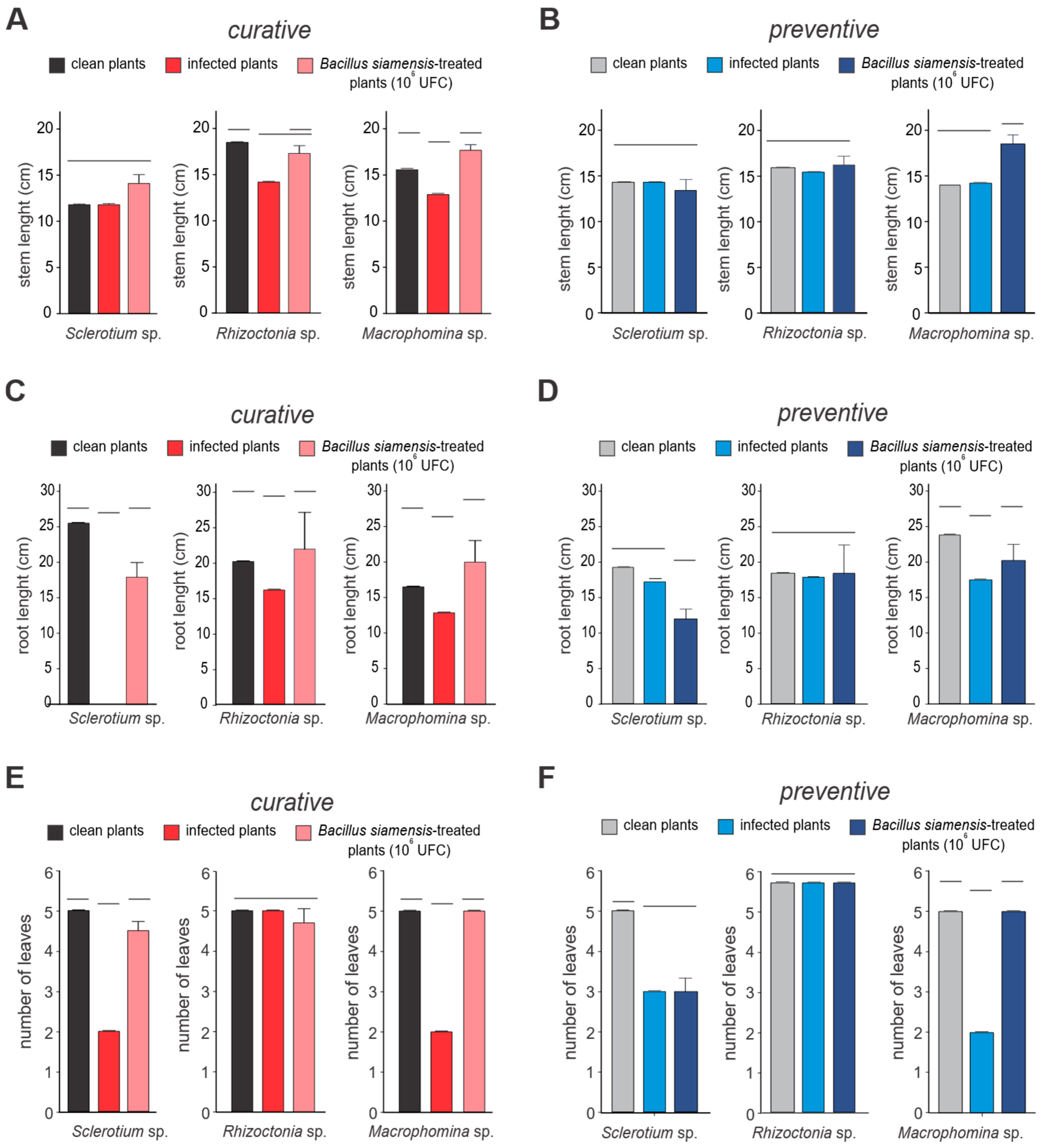 Microorganisms 13 01366 g006