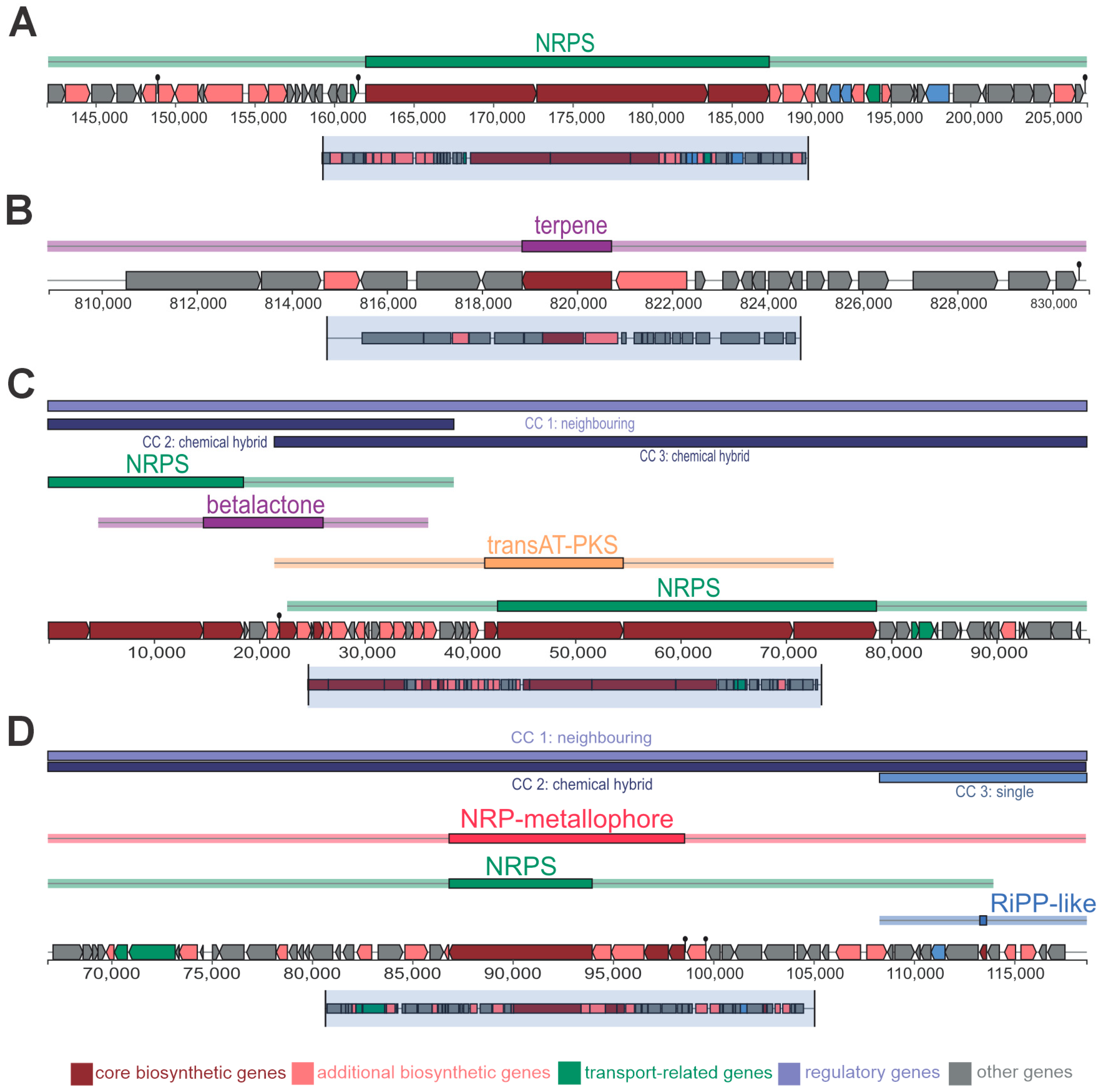 Microorganisms 13 01366 g007