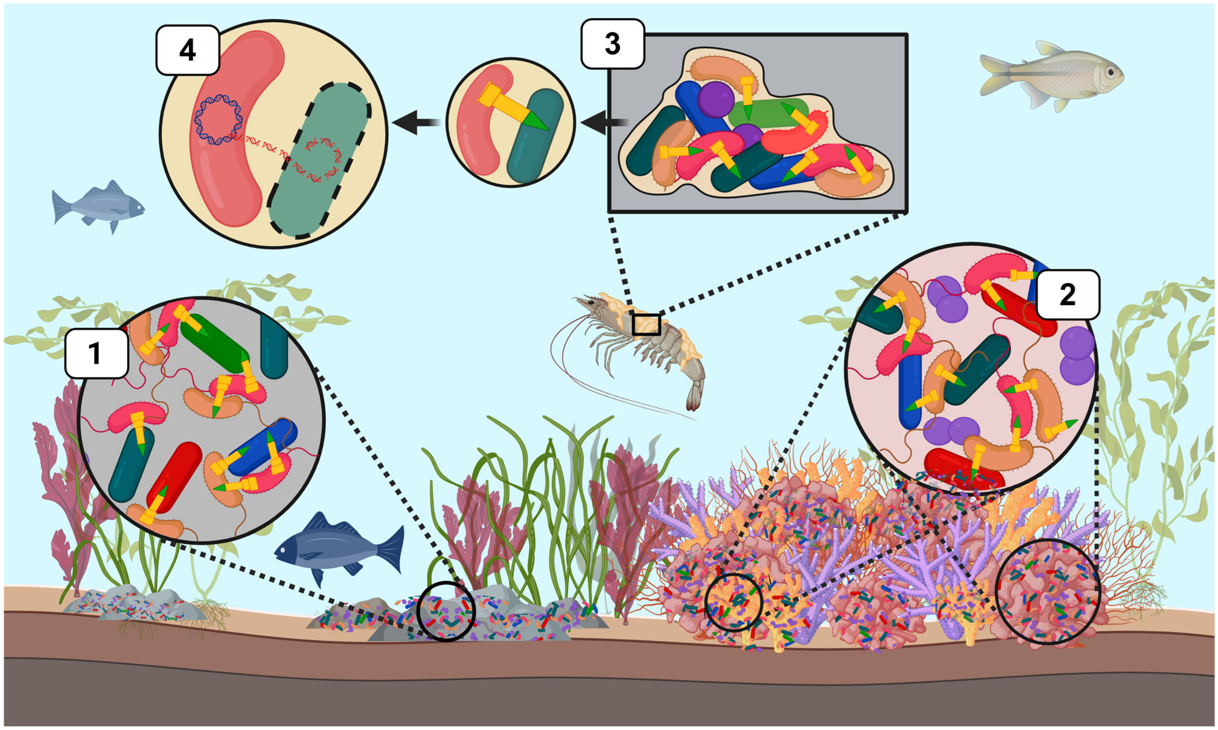 Microorganisms 13 01370 g002