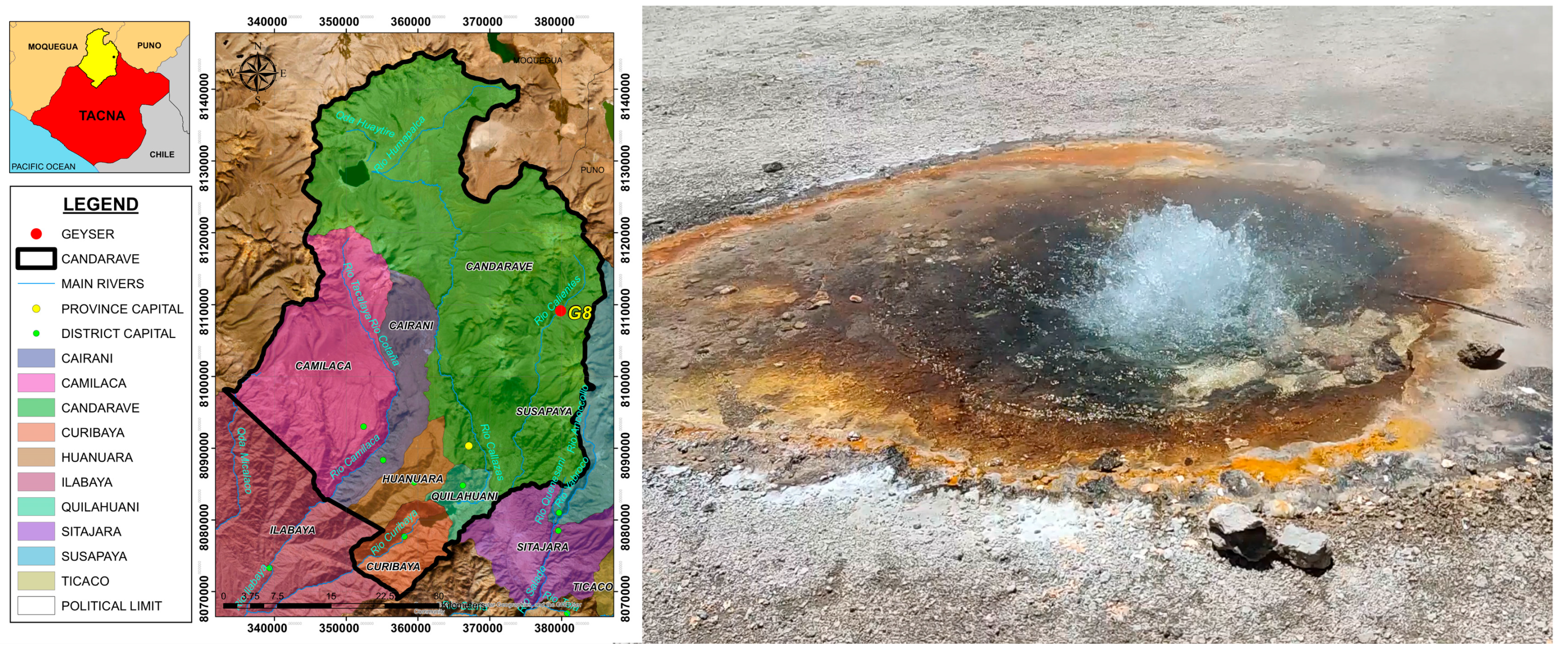 Microorganisms 13 01374 g001