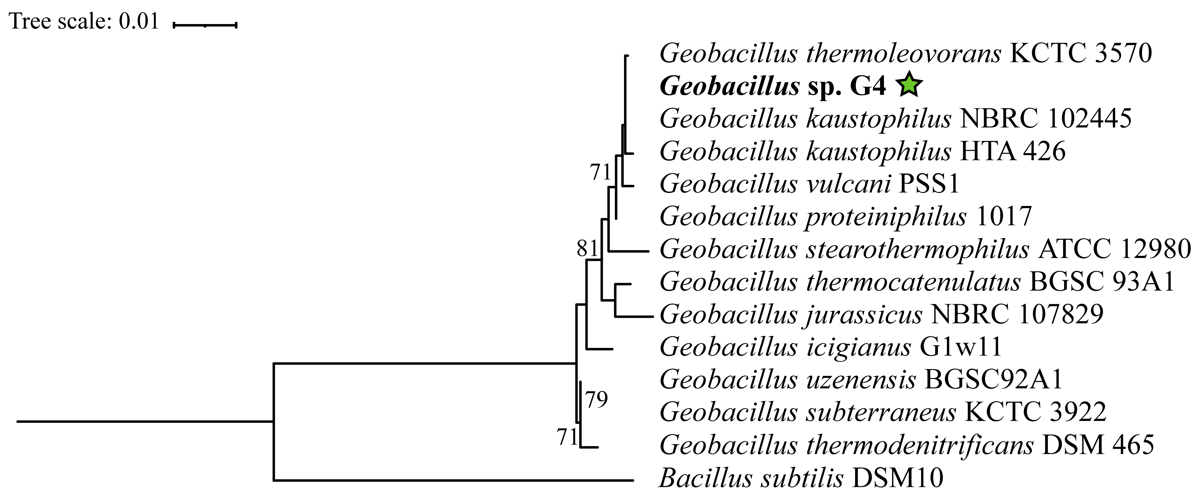 Microorganisms 13 01374 g003
