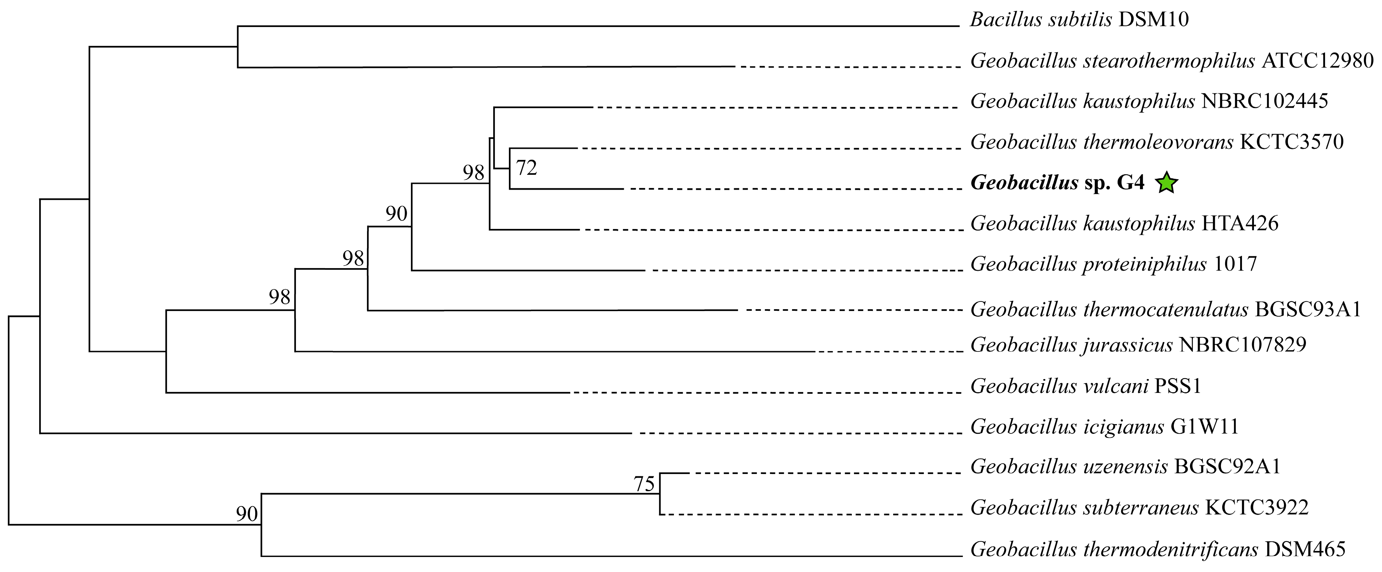 Microorganisms 13 01374 g004